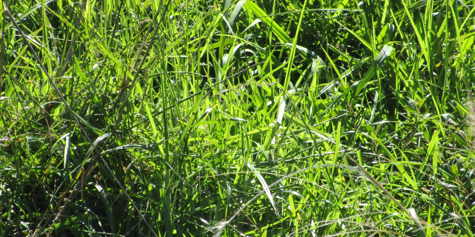 Image 3 of 6