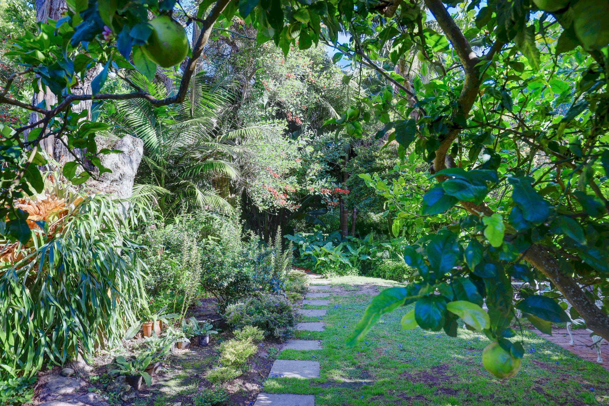 Image 124