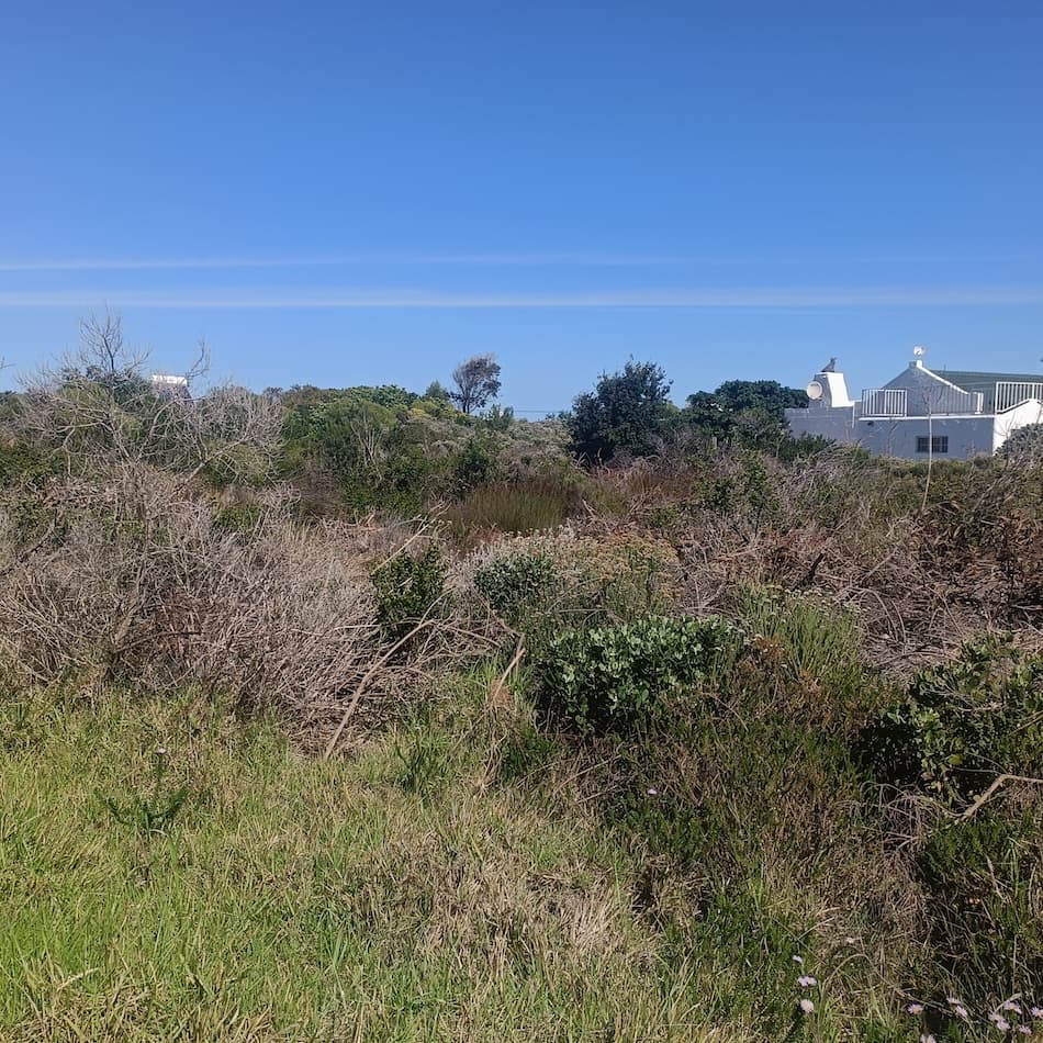 Image 2 of 6