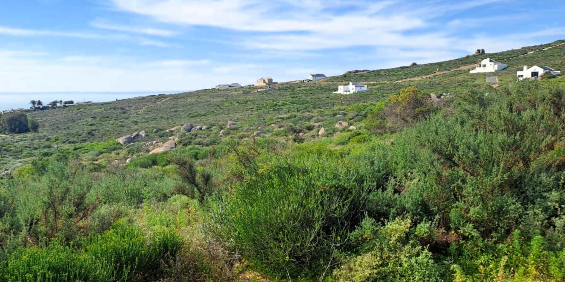 Image 2 of 6