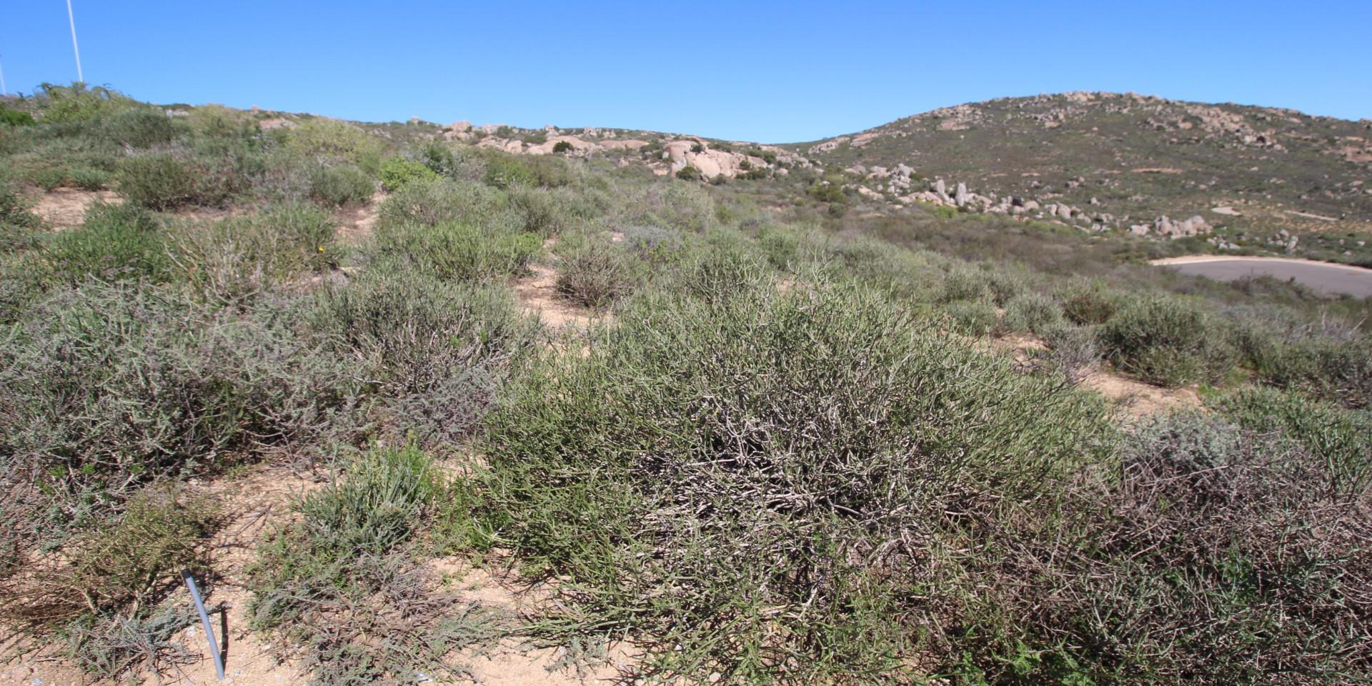 Image 3 of 6