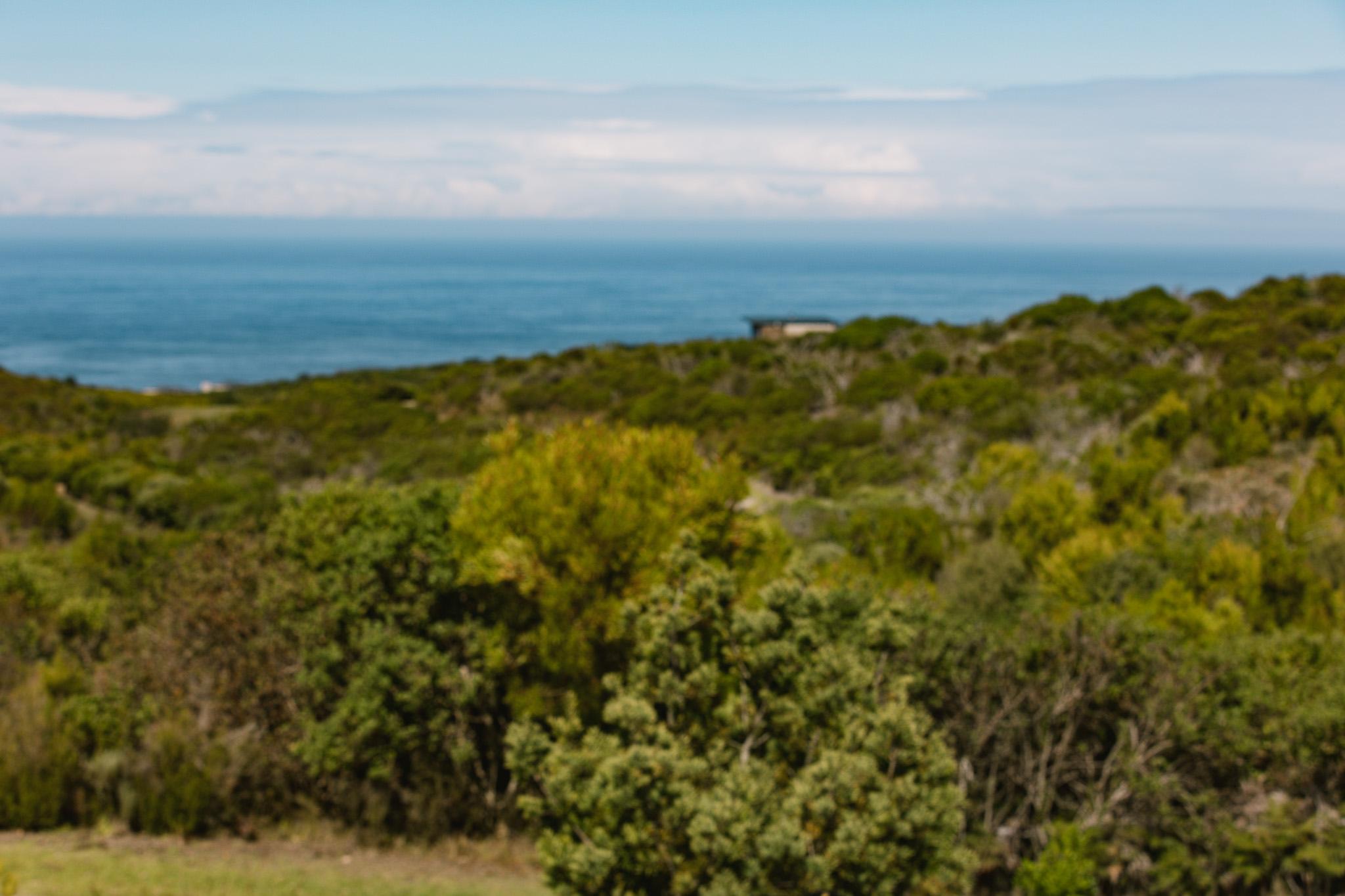 Image 5 of 6