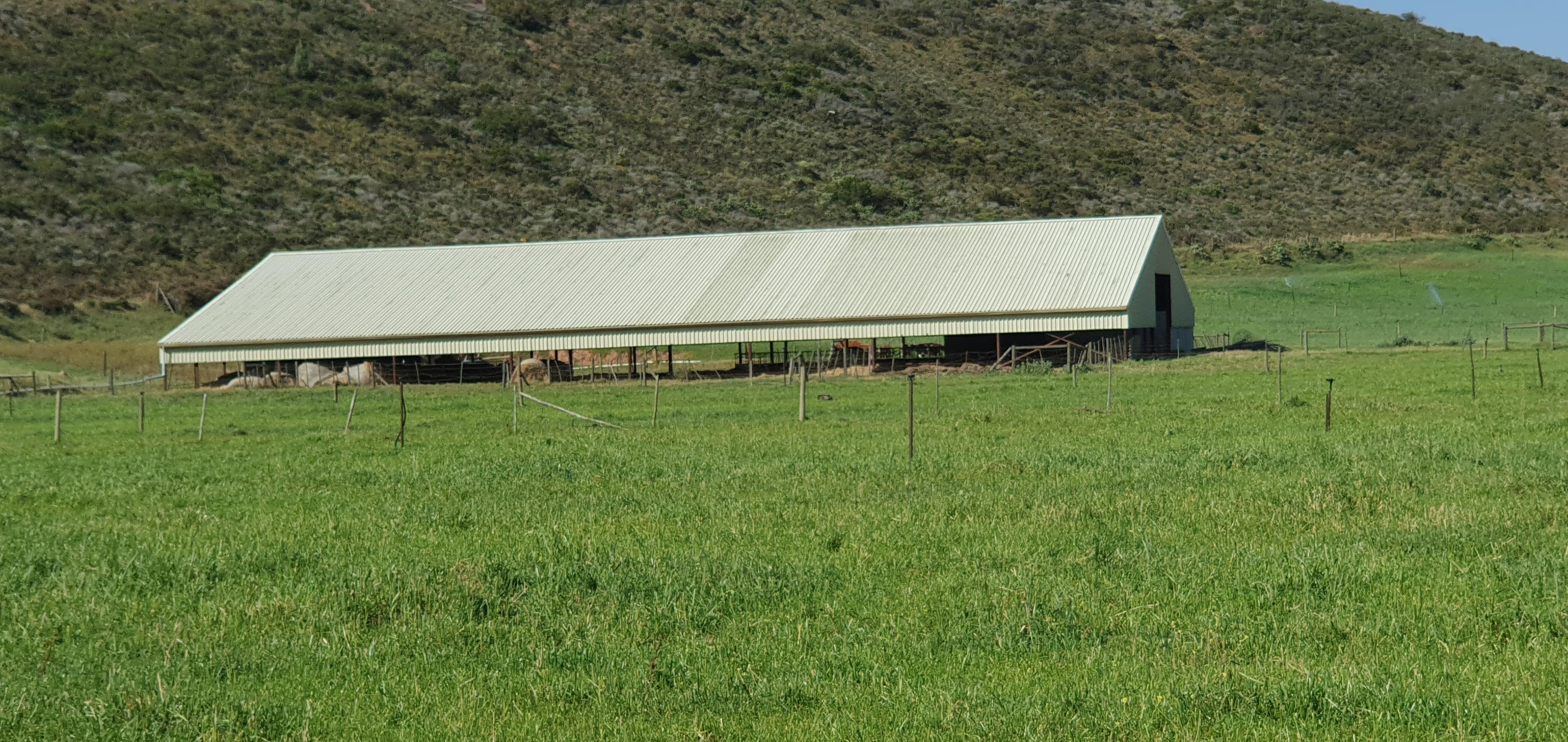 Image 92