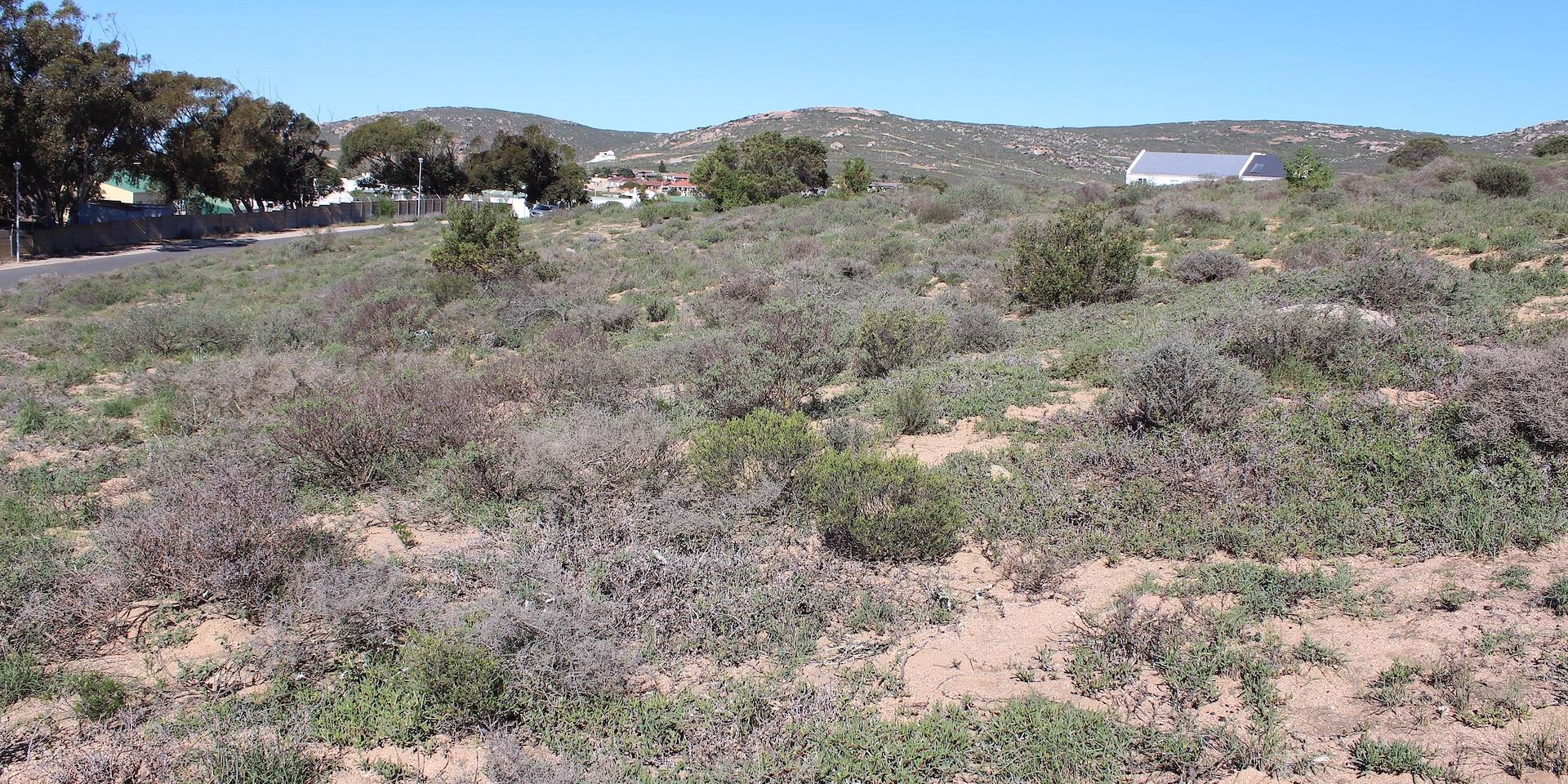 Image 4 of 6