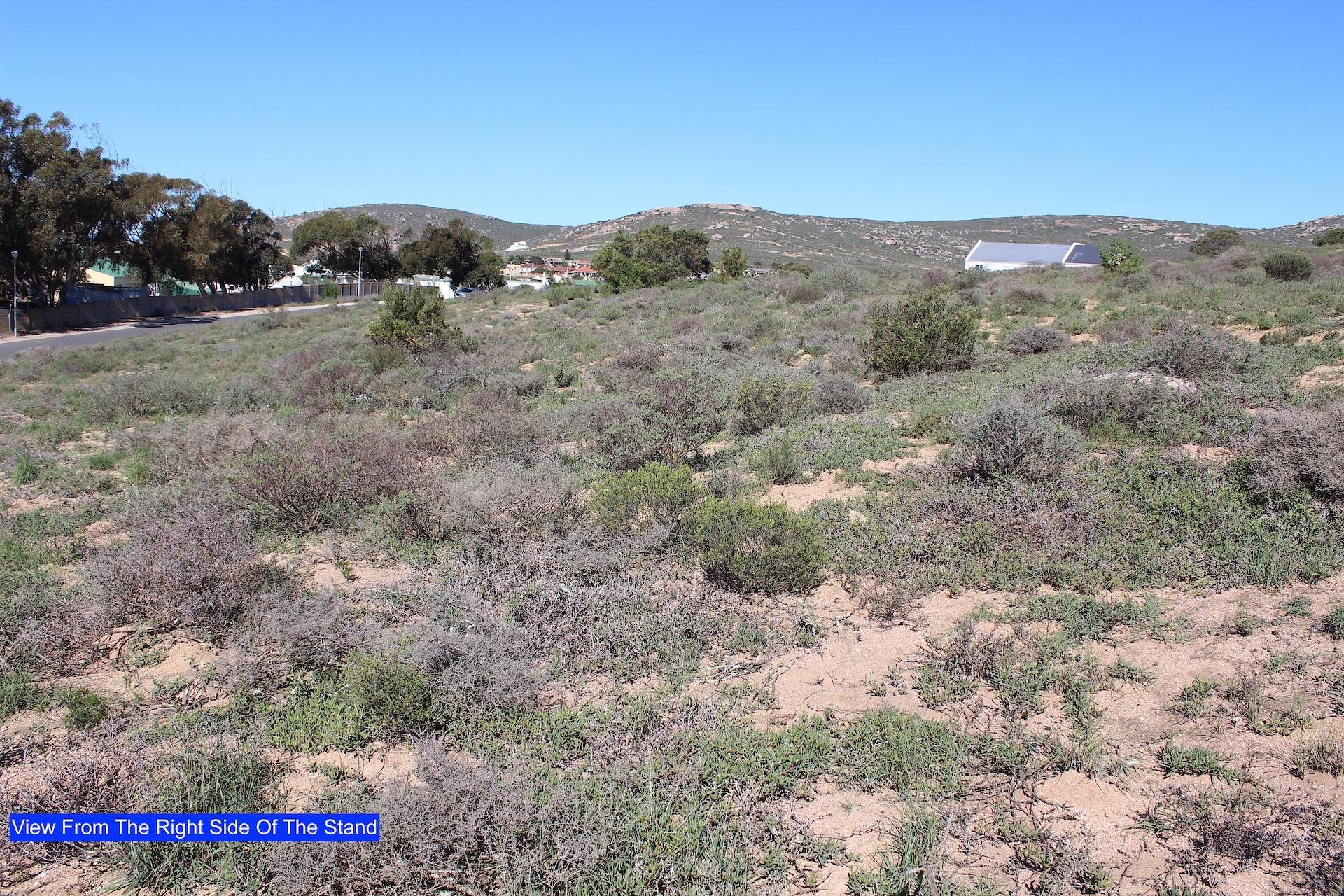 Image 4 of 6