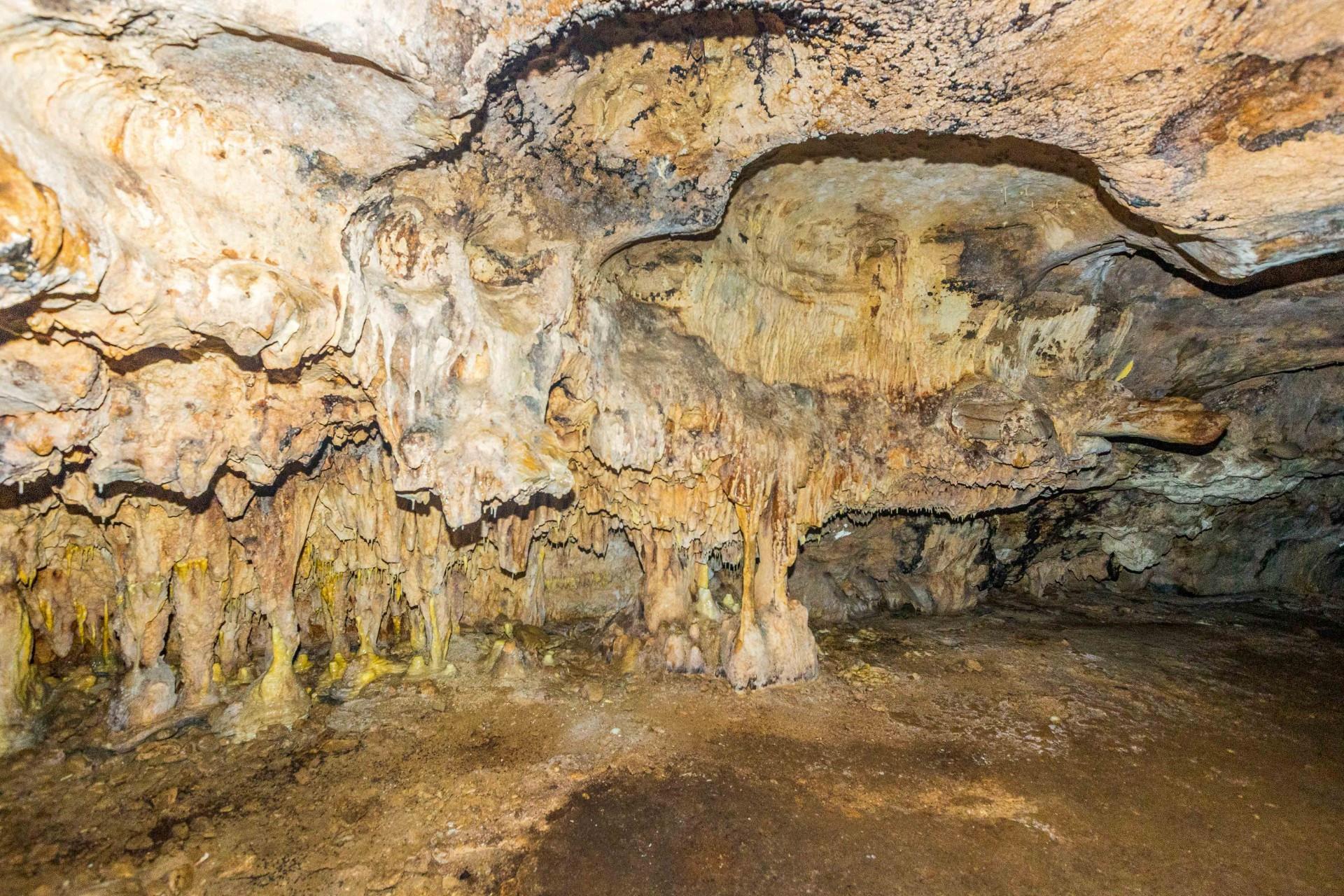 Image 10
