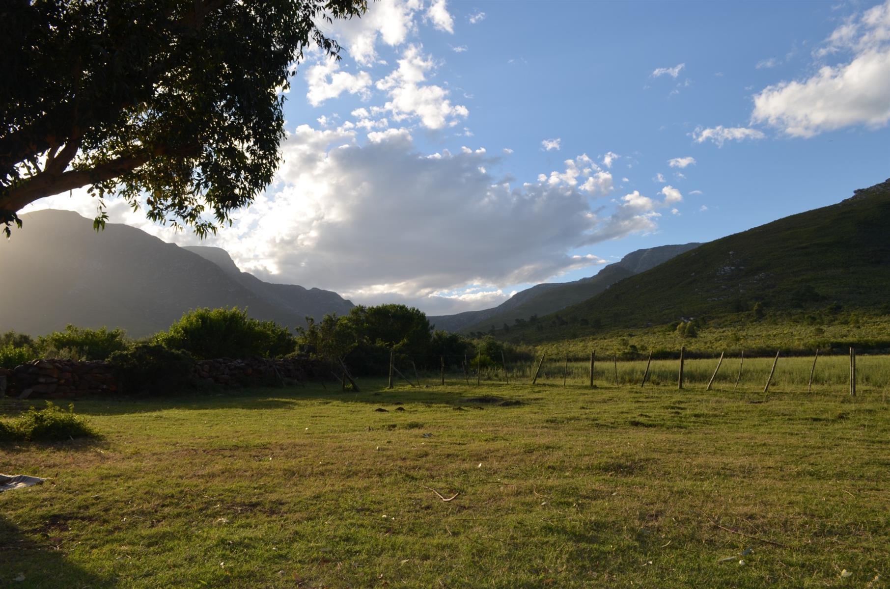 Image 30