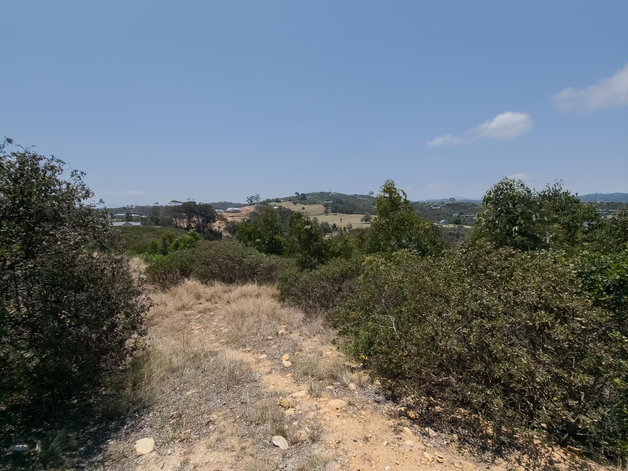 Image 4 of 6