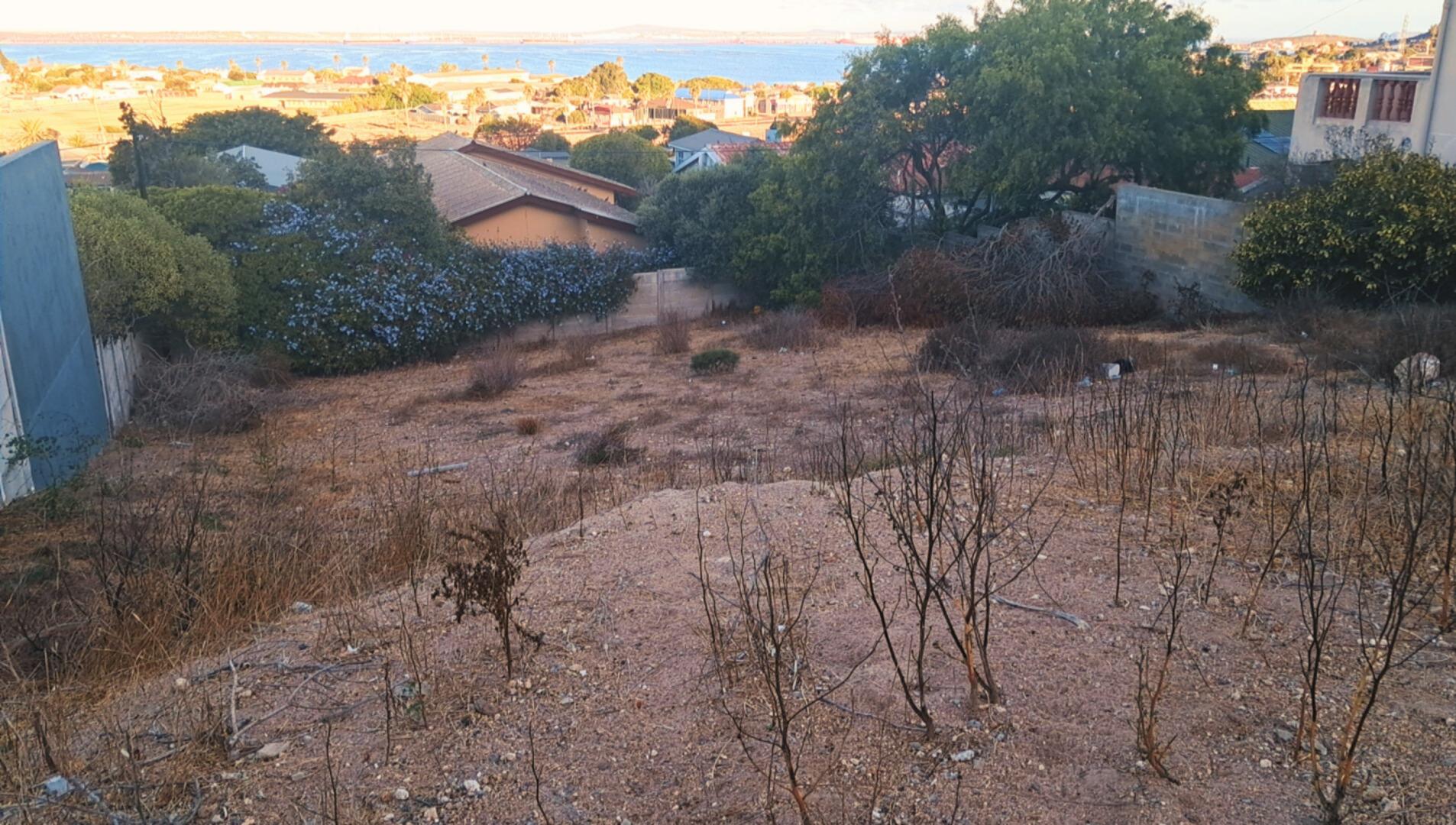 Image 9