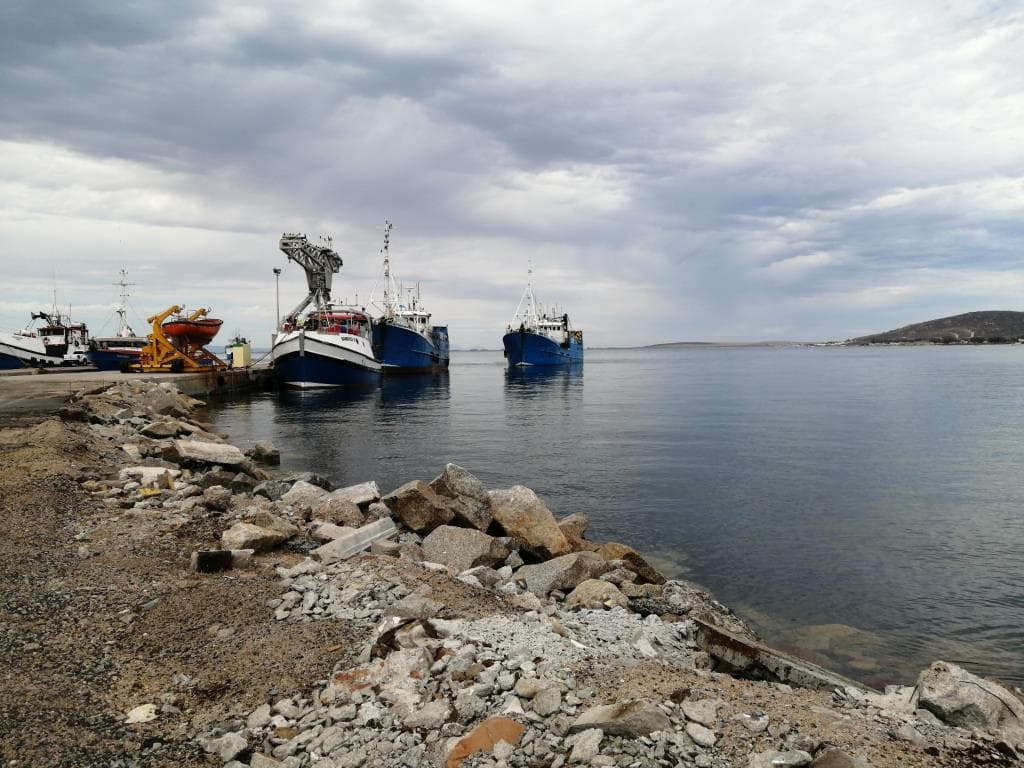 Image 15