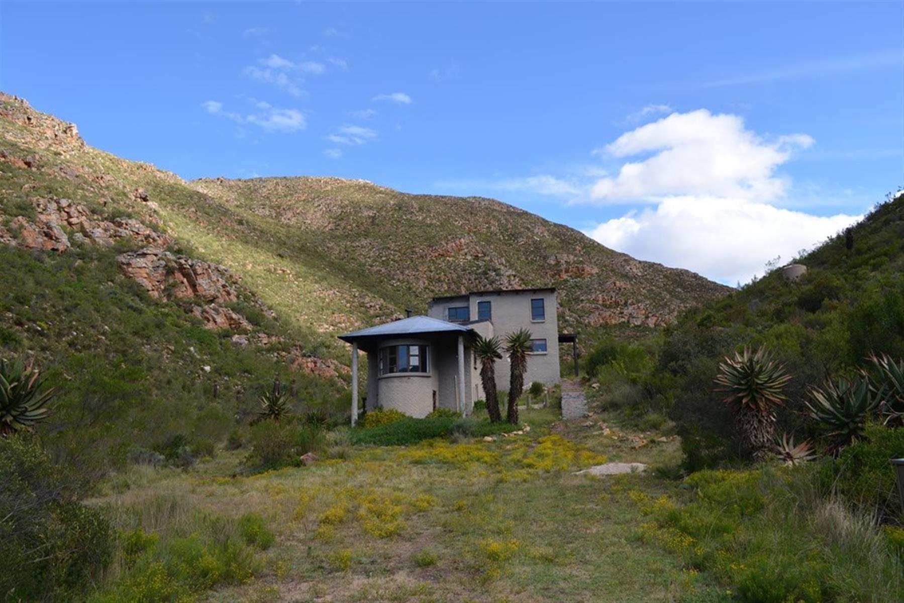 Image 3 of 6