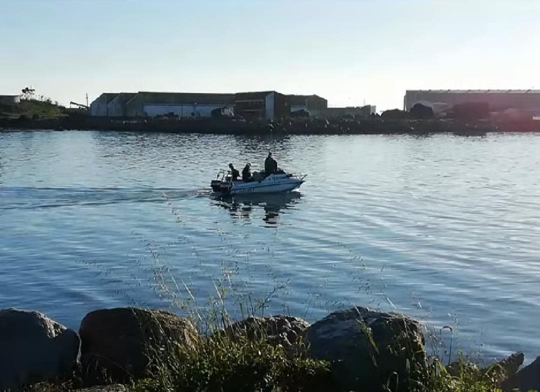 Image 15