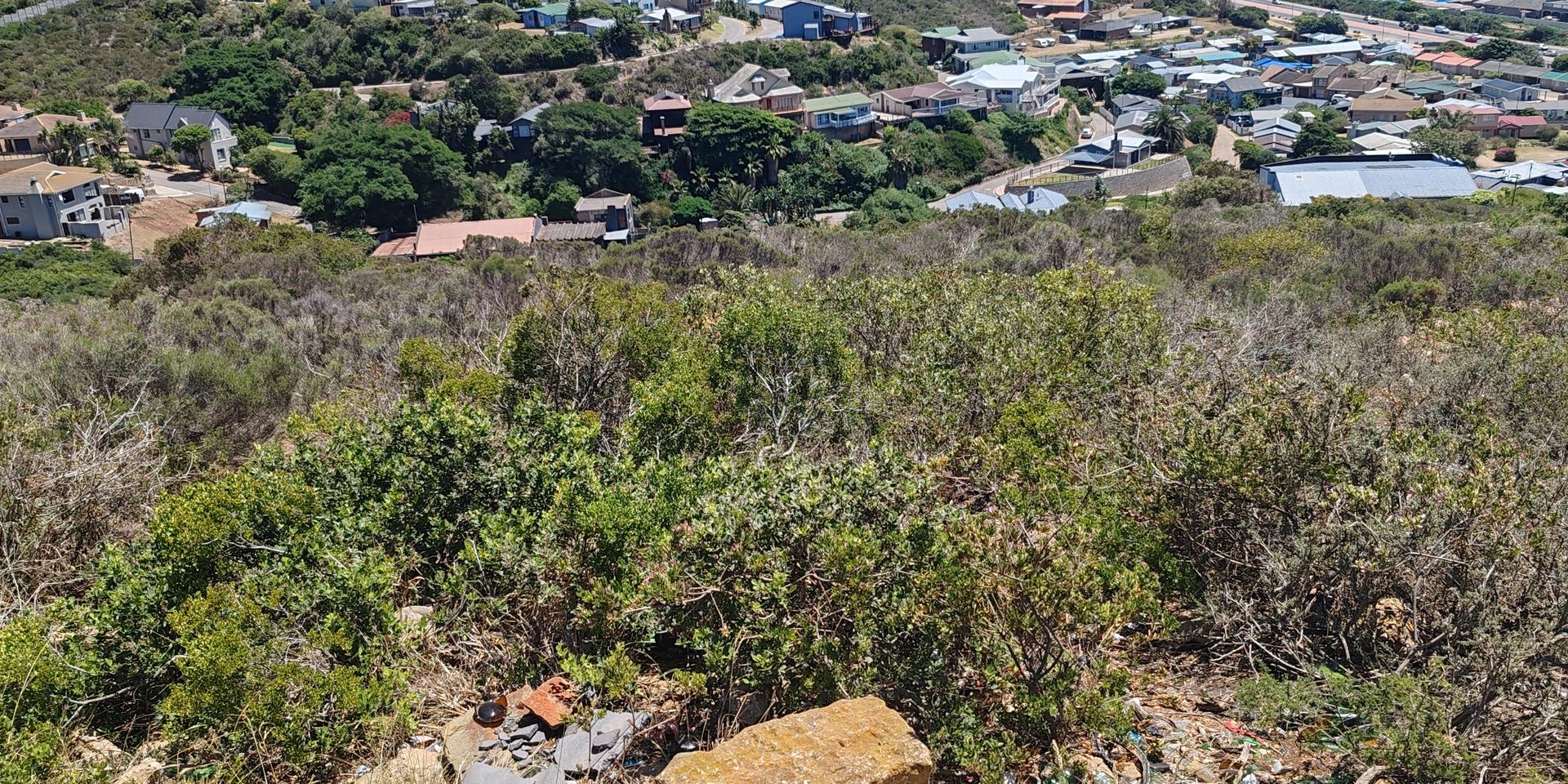 Image 3 of 6