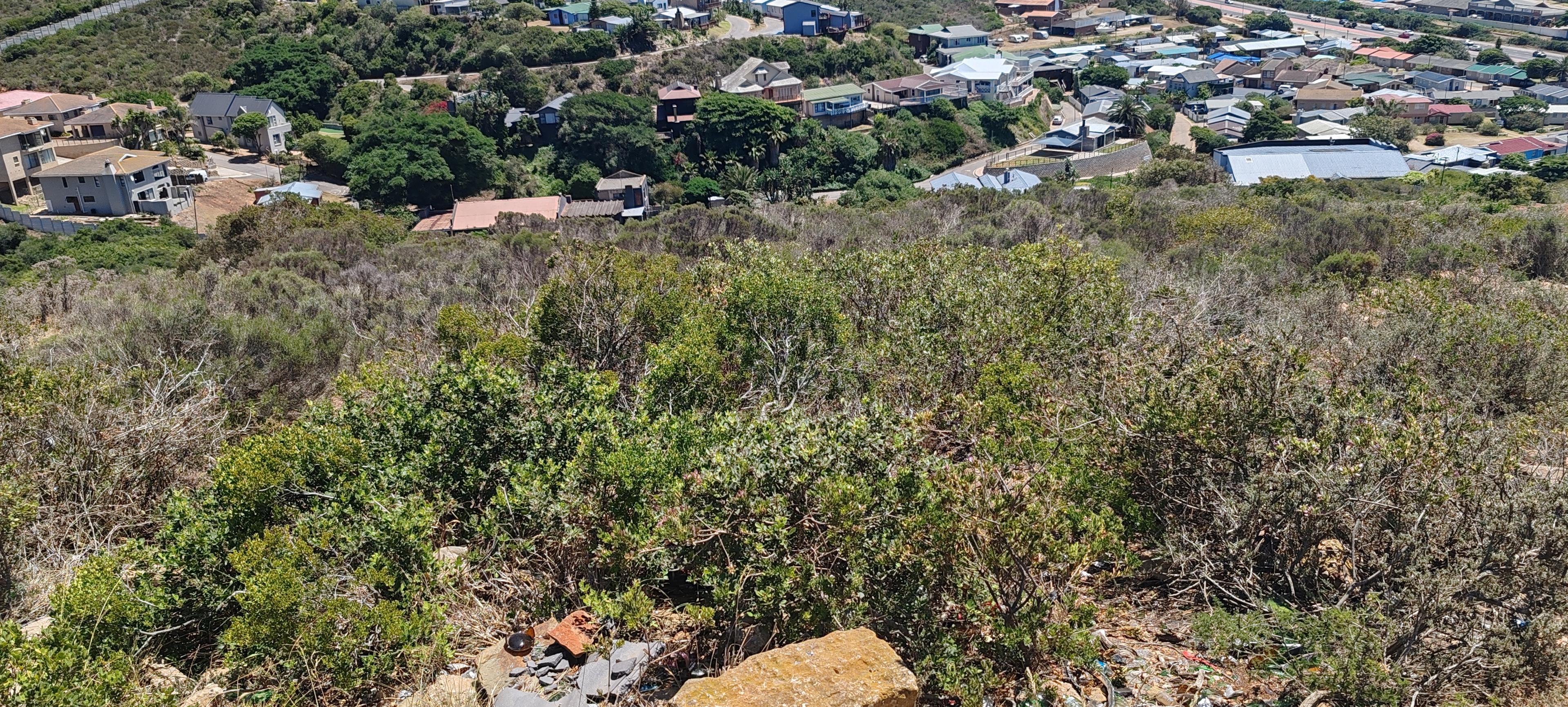 Image 3 of 6