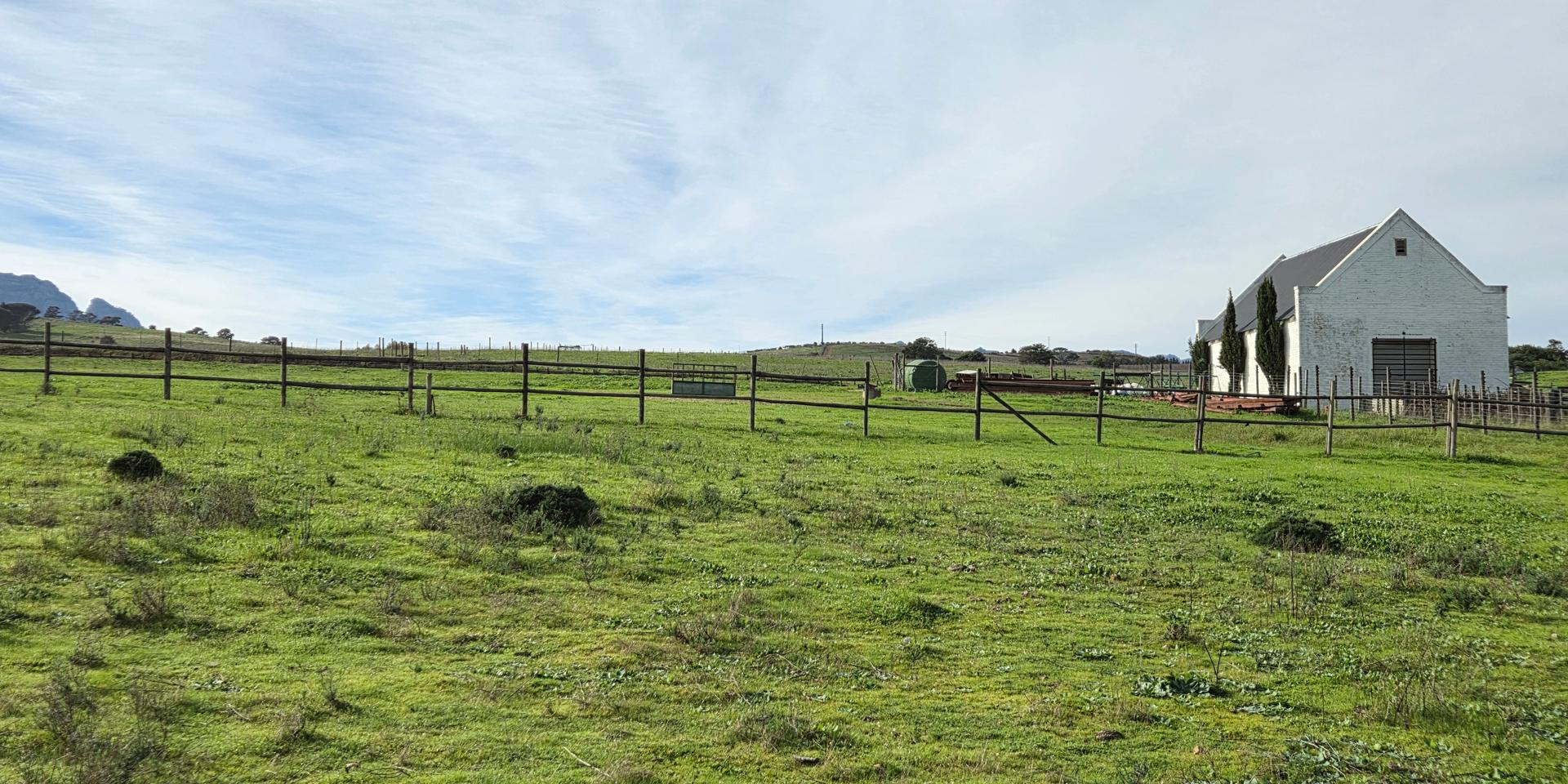 Image 2 of 6