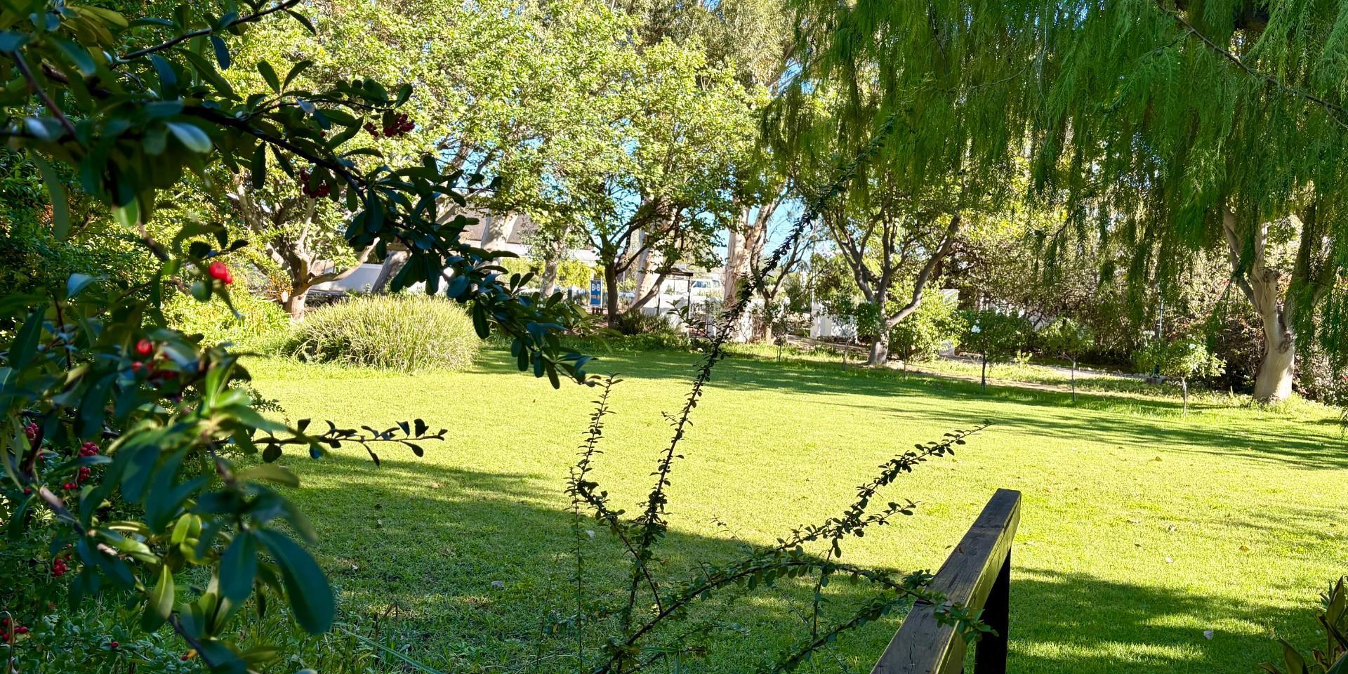 Image 5 of 6
