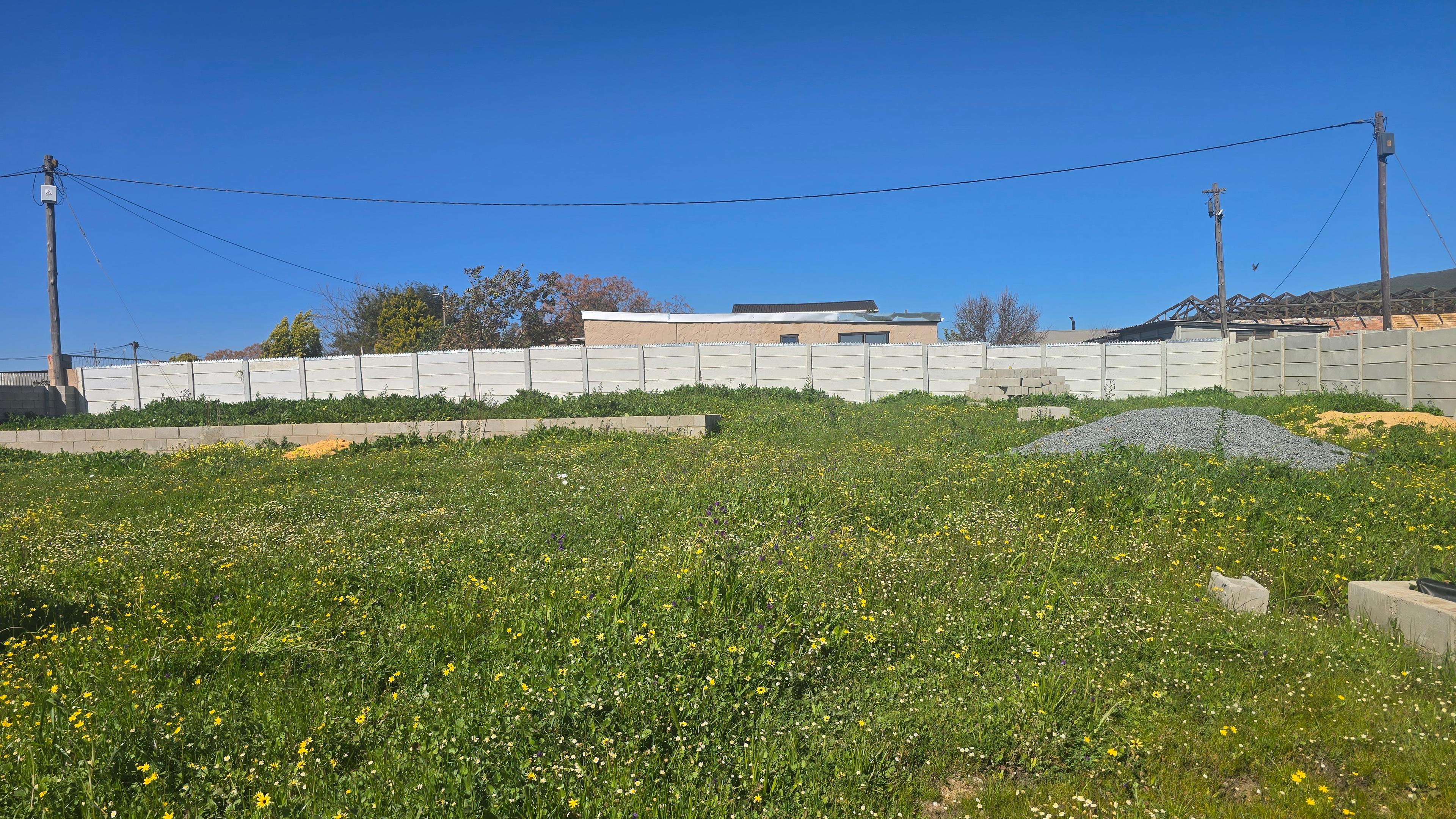 Image 10