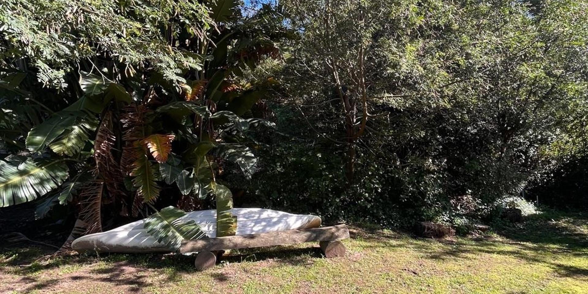 Image 4 of 6