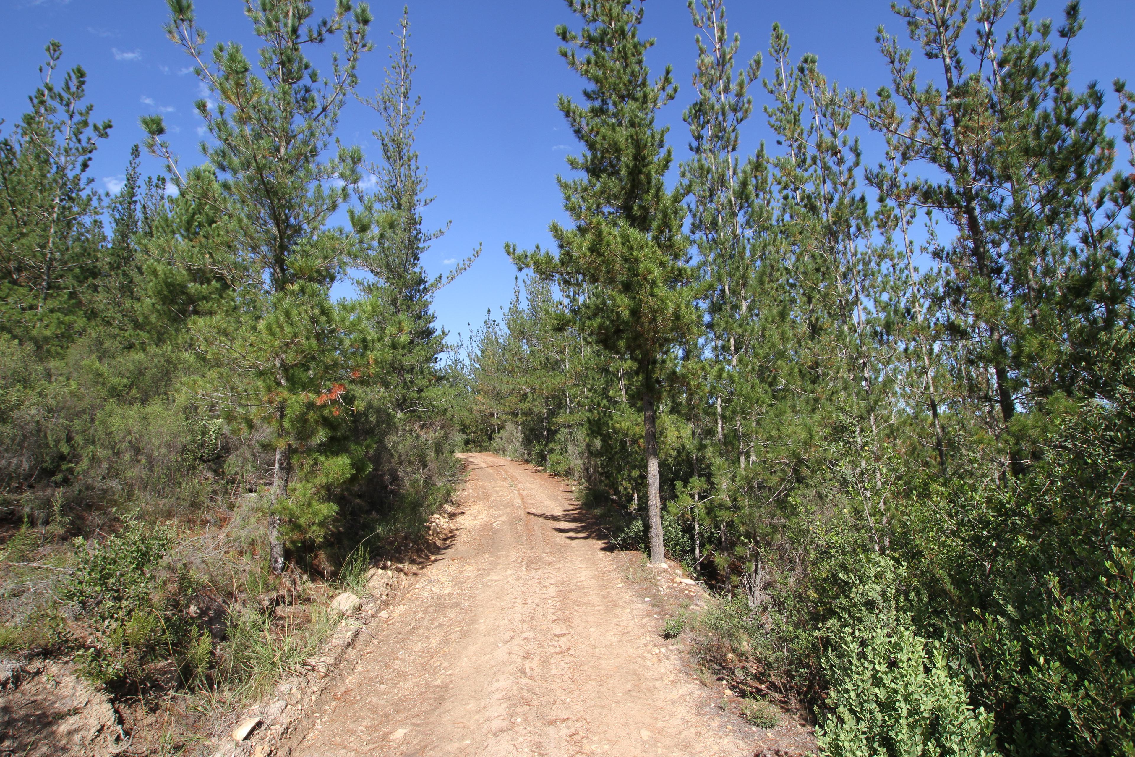 Image 9
