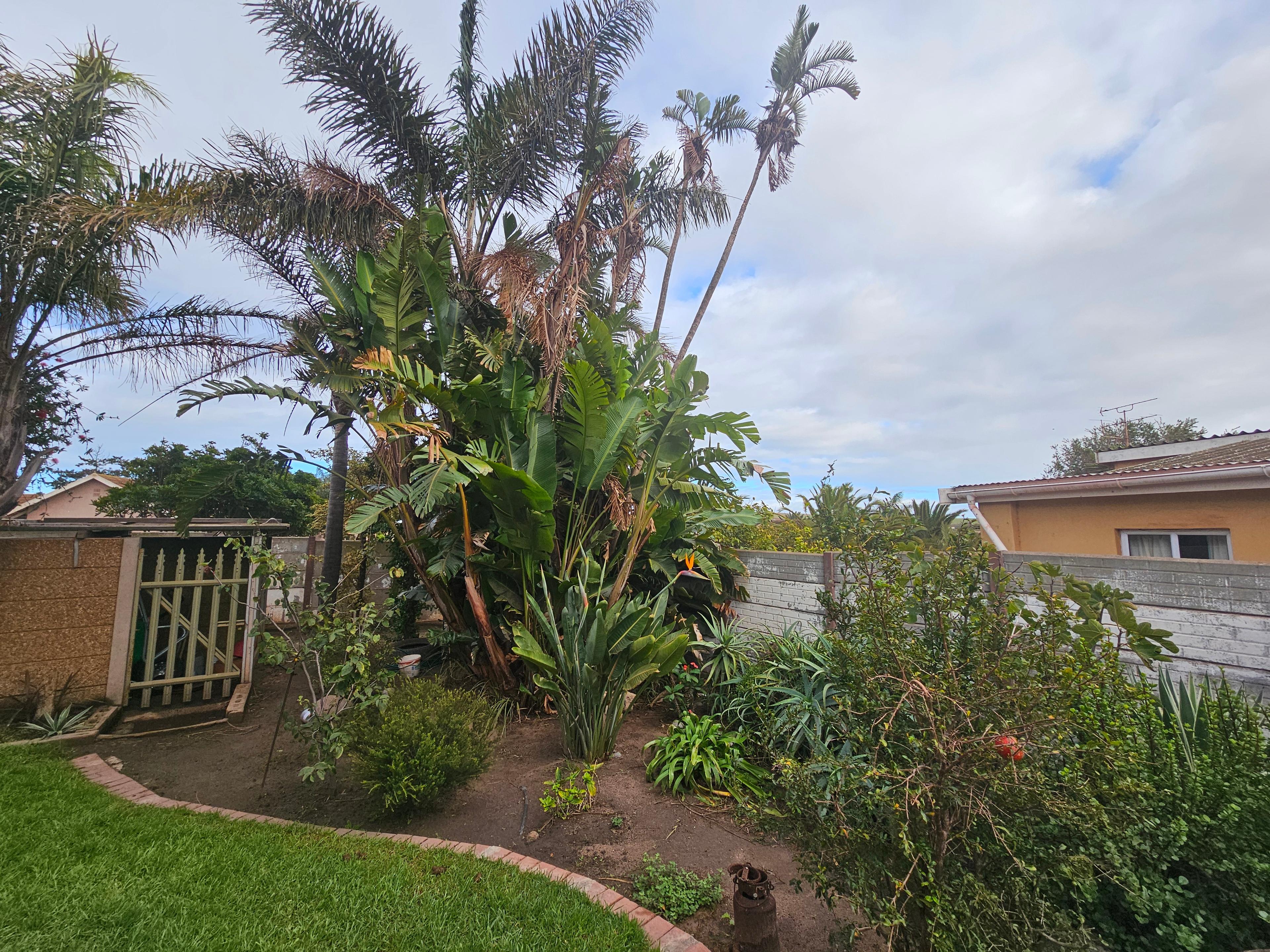 Image 5 of 6