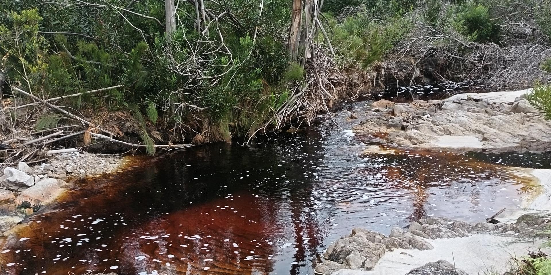 Image 3 of 6
