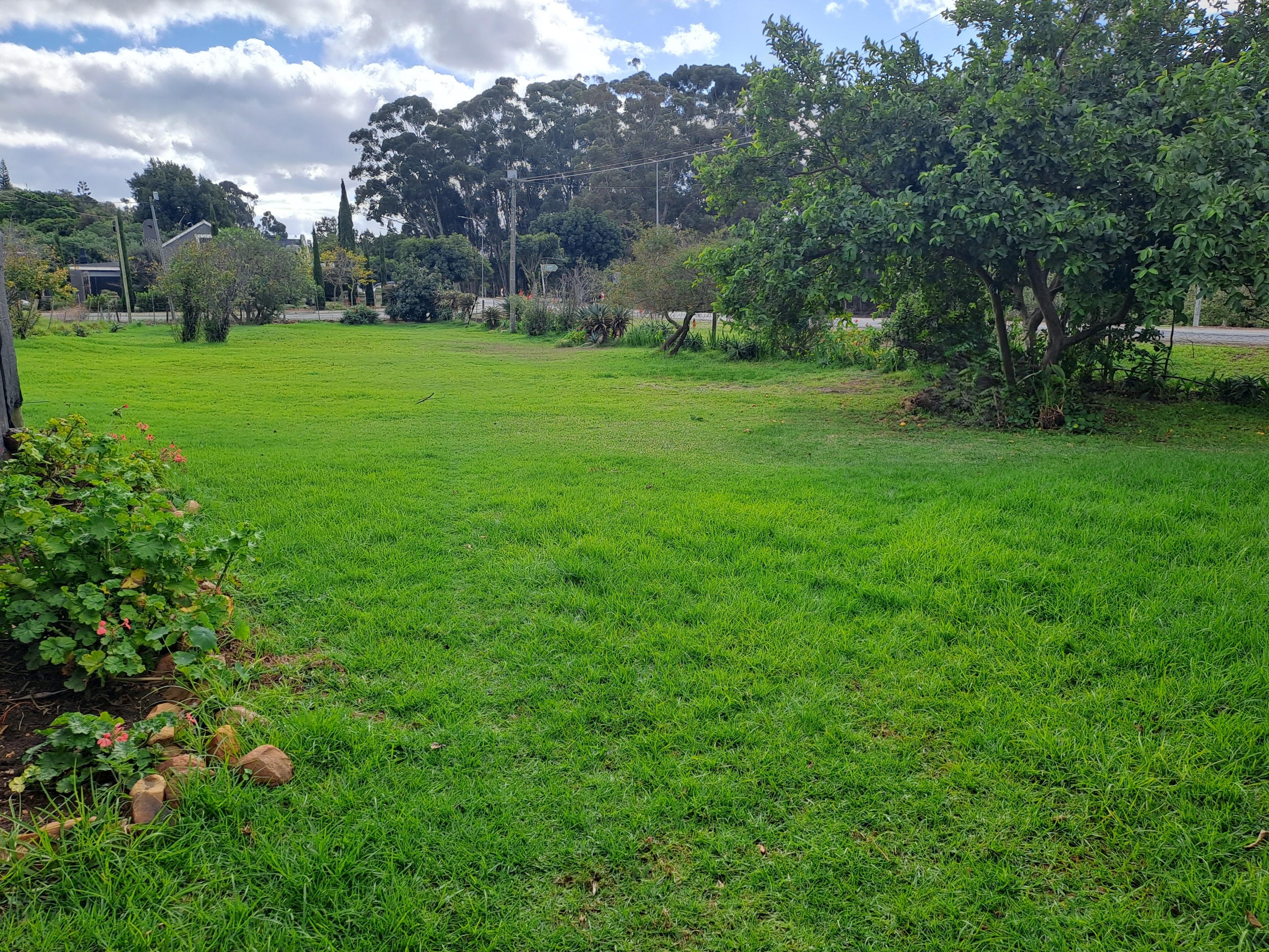 Image 14