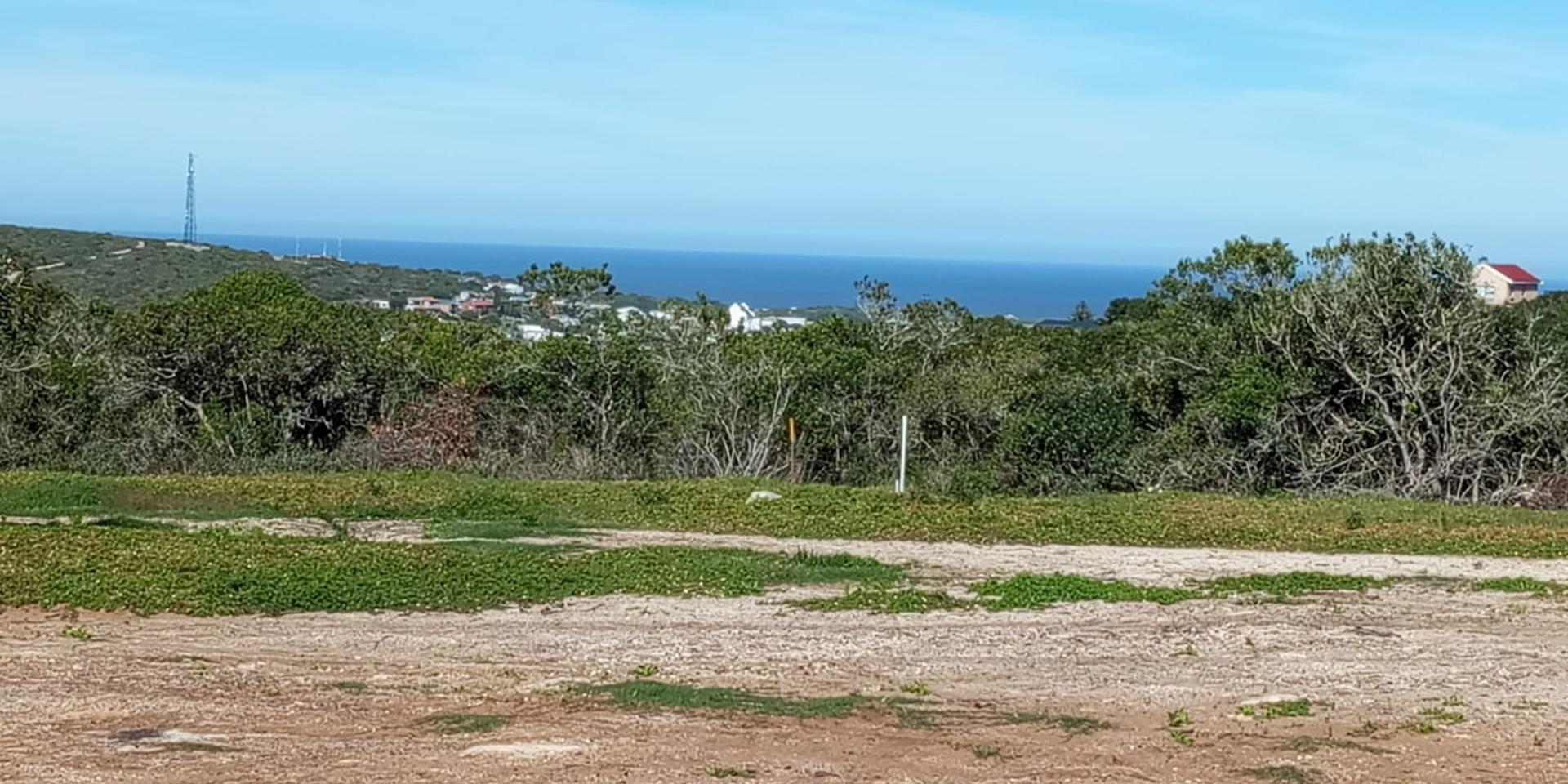 Image 4 of 6