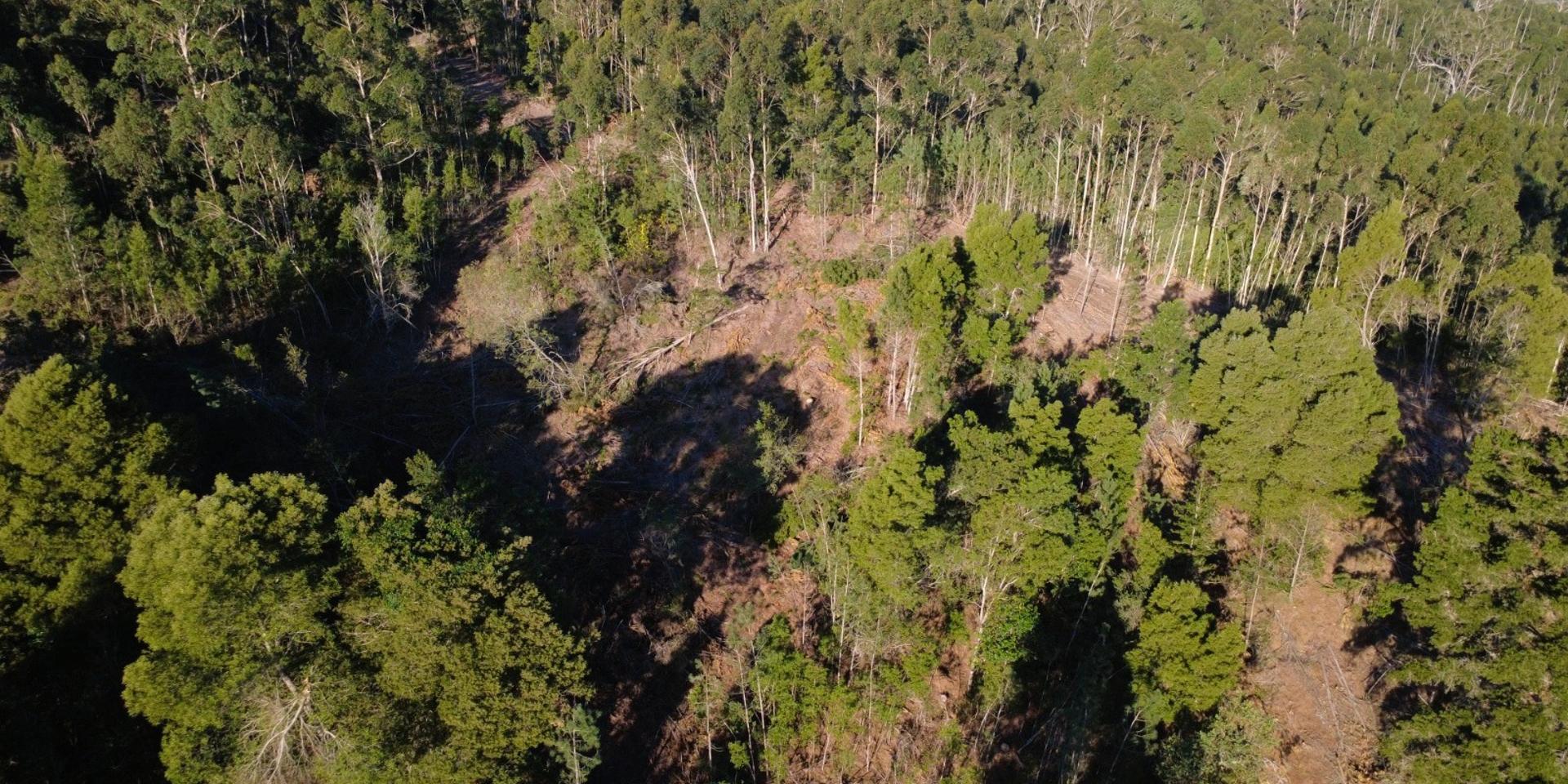 Image 2 of 6