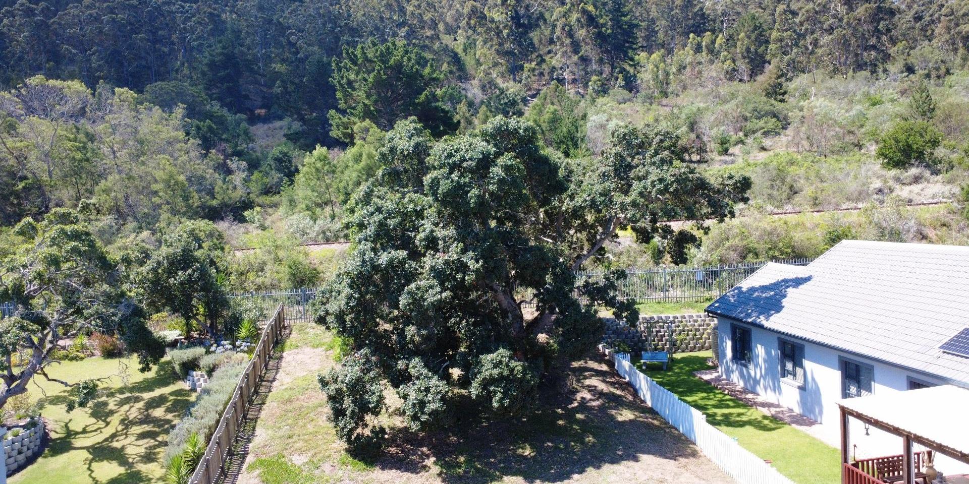 Image 5 of 6