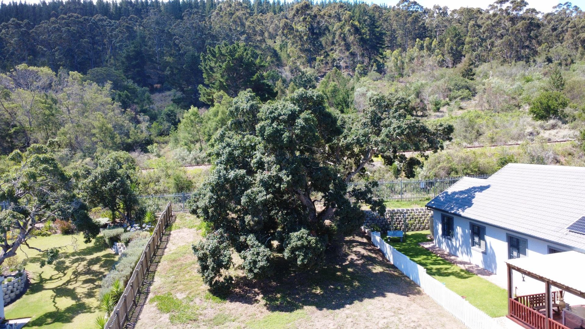 Image 5 of 6