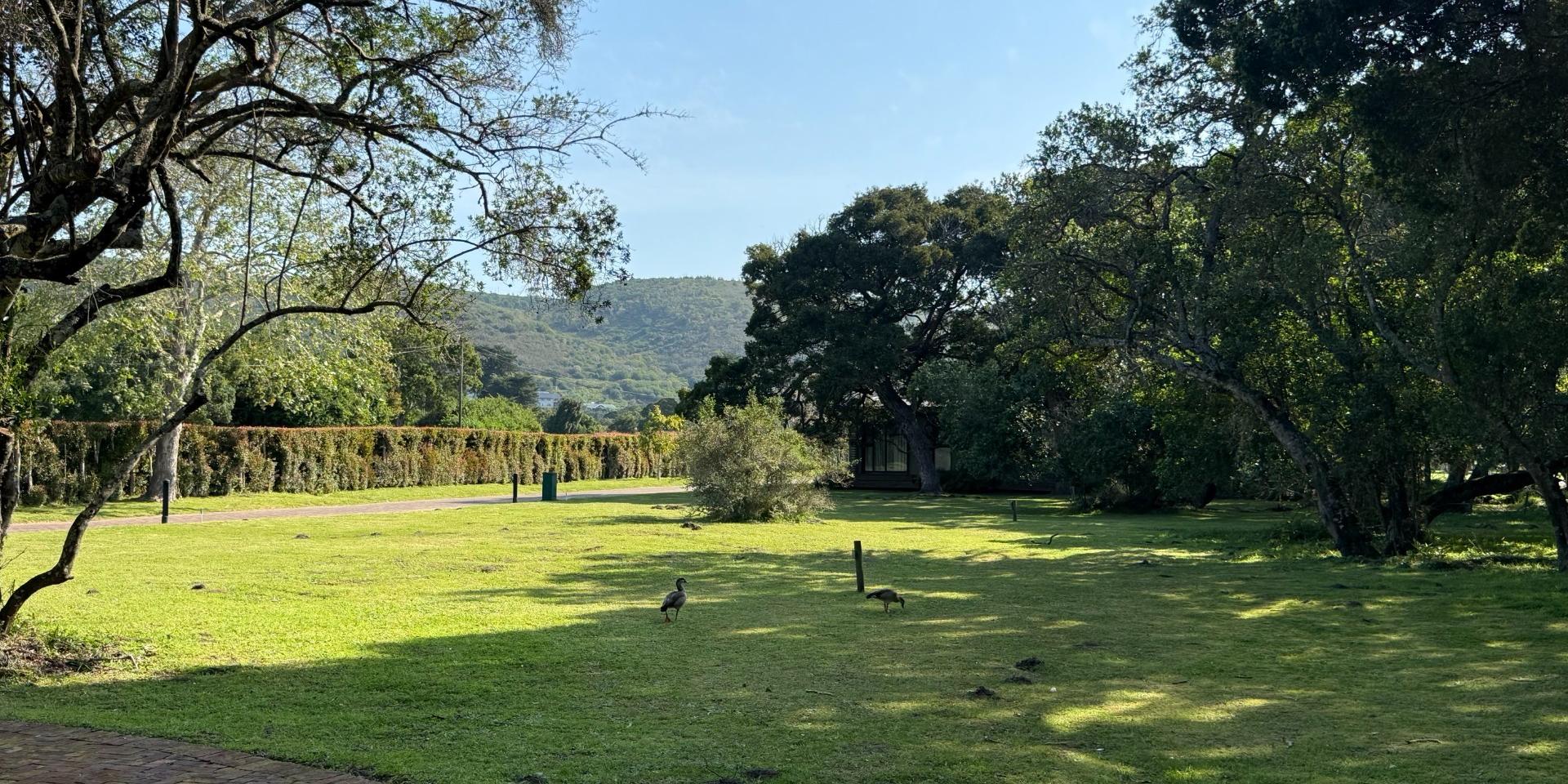 Image 4 of 6