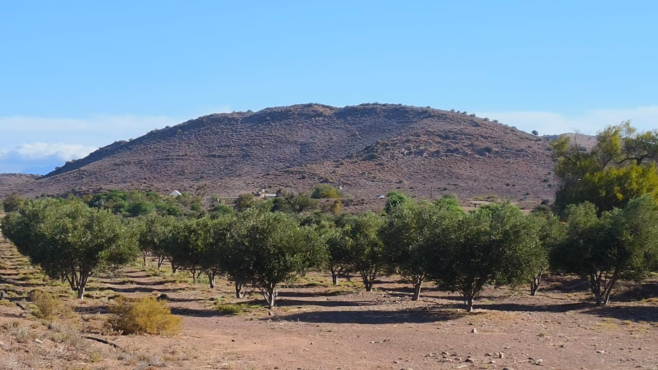 Image 4 of 6