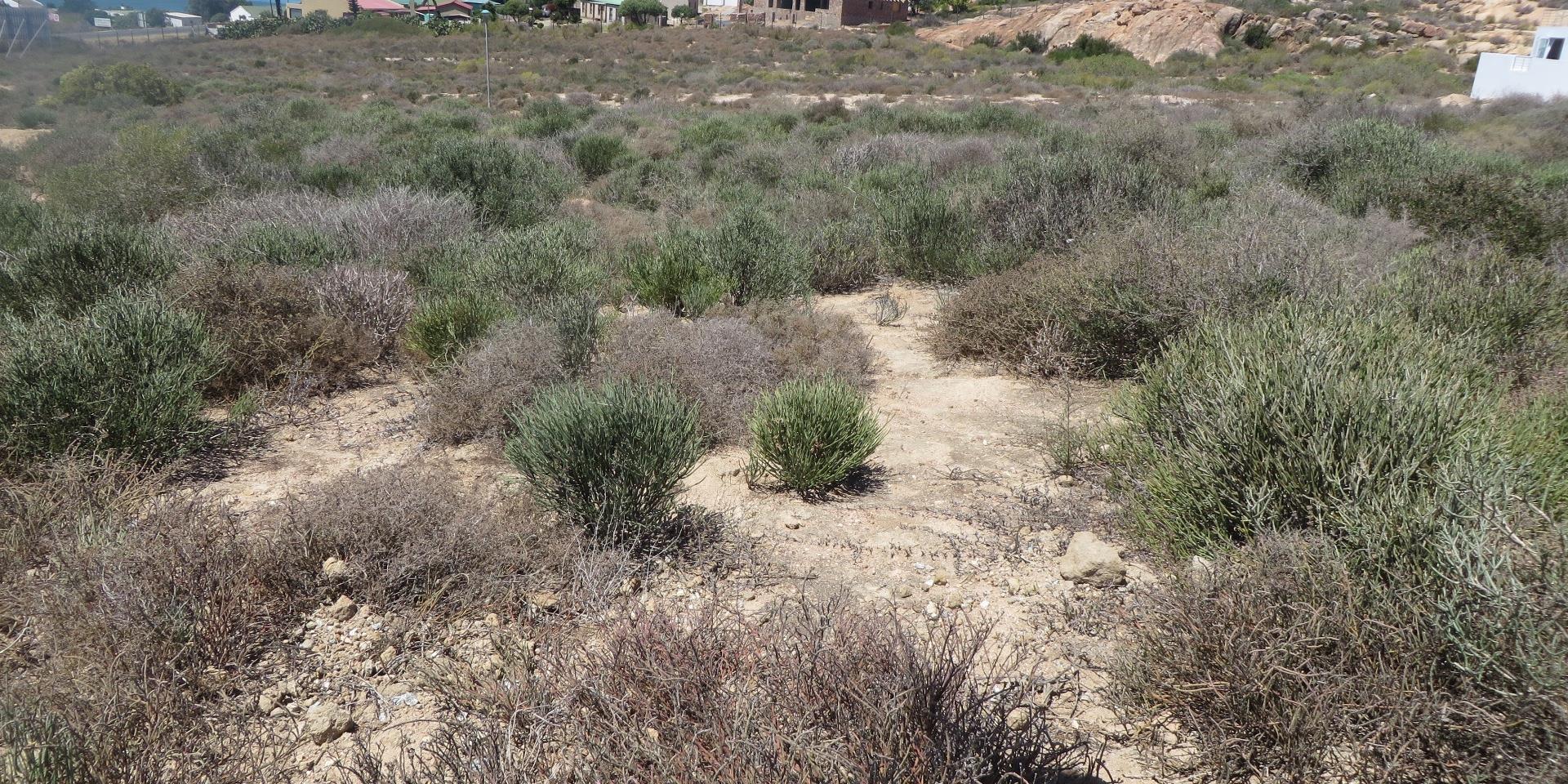 Image 4 of 6