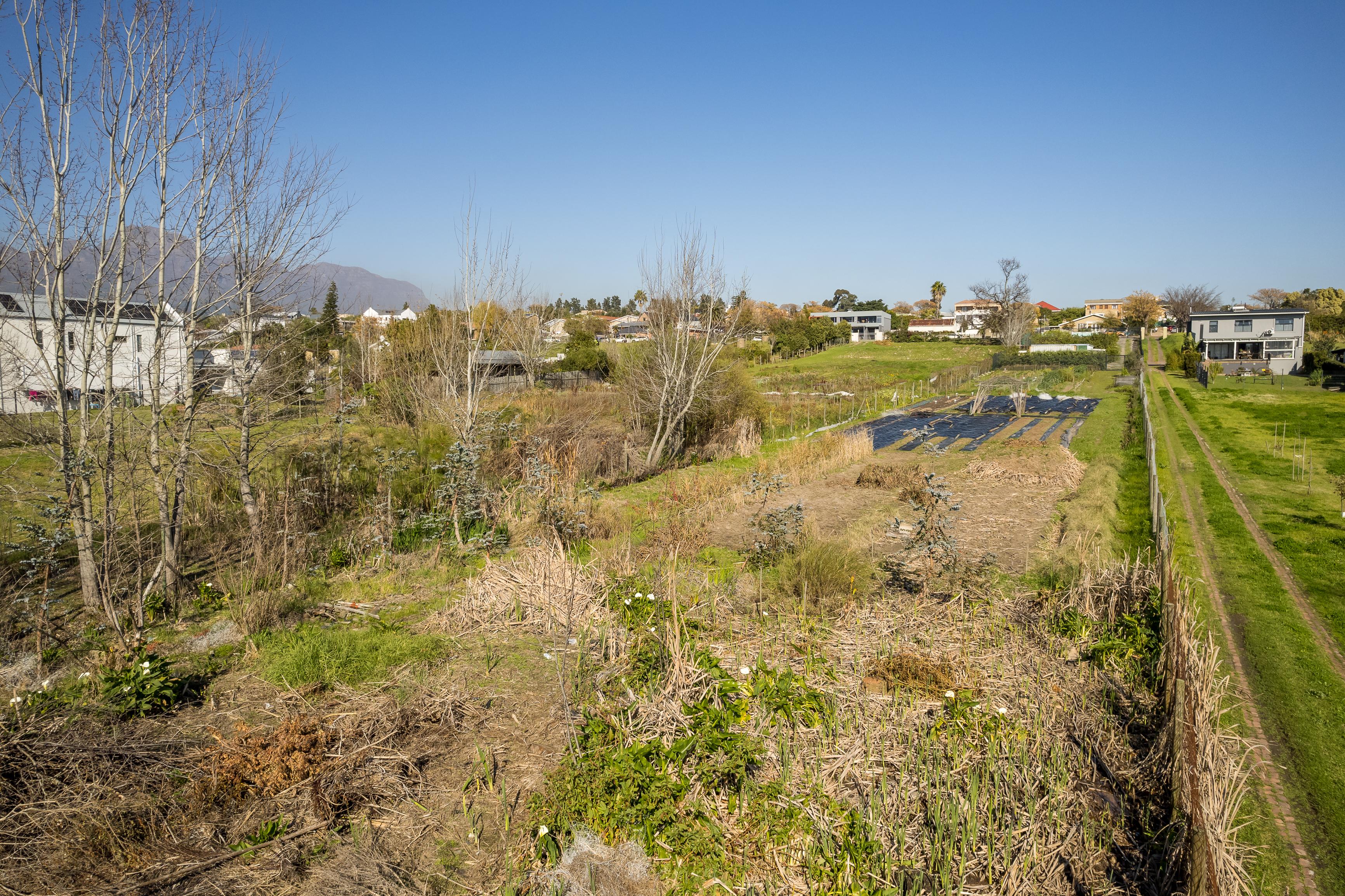 Image 15