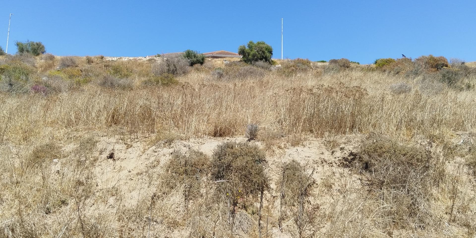 Image 2 of 6