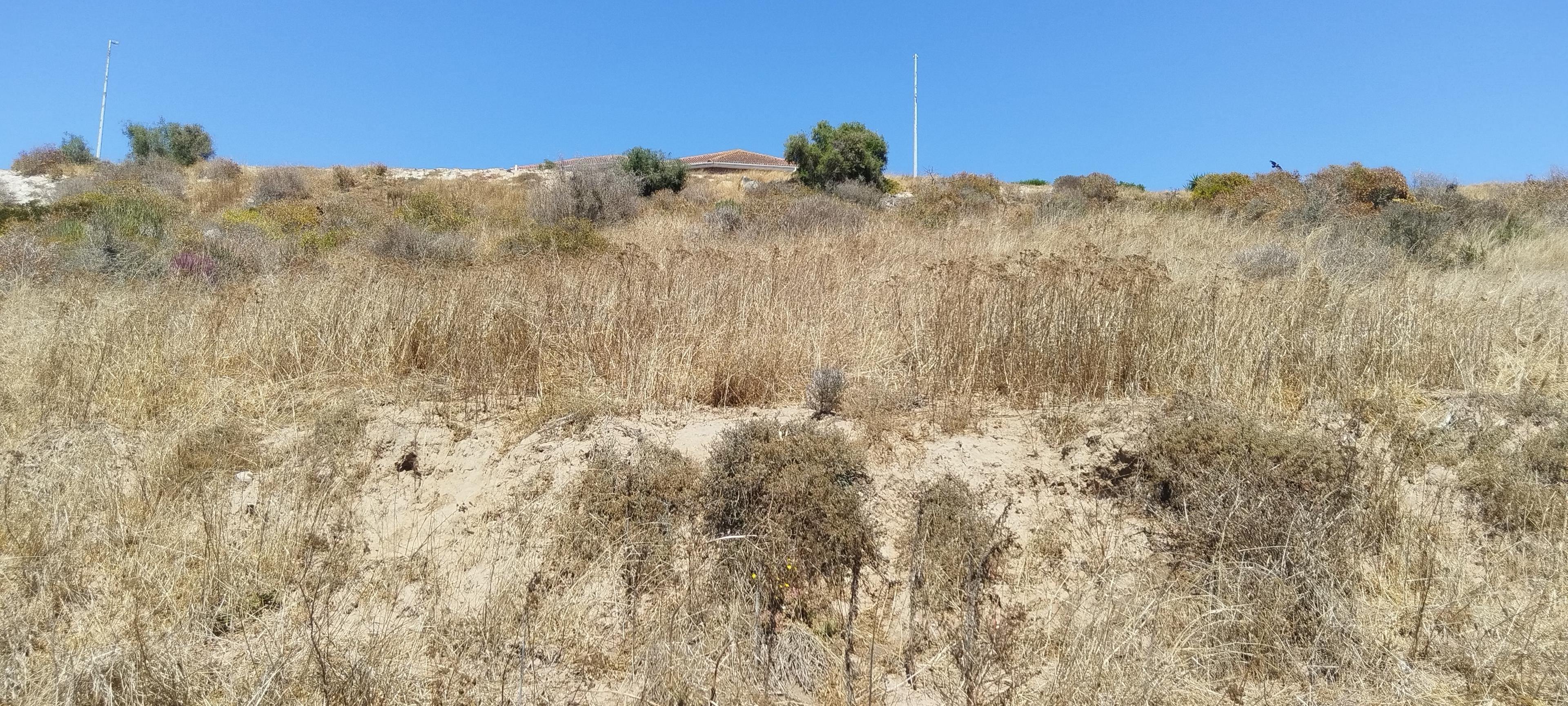 Image 2 of 6