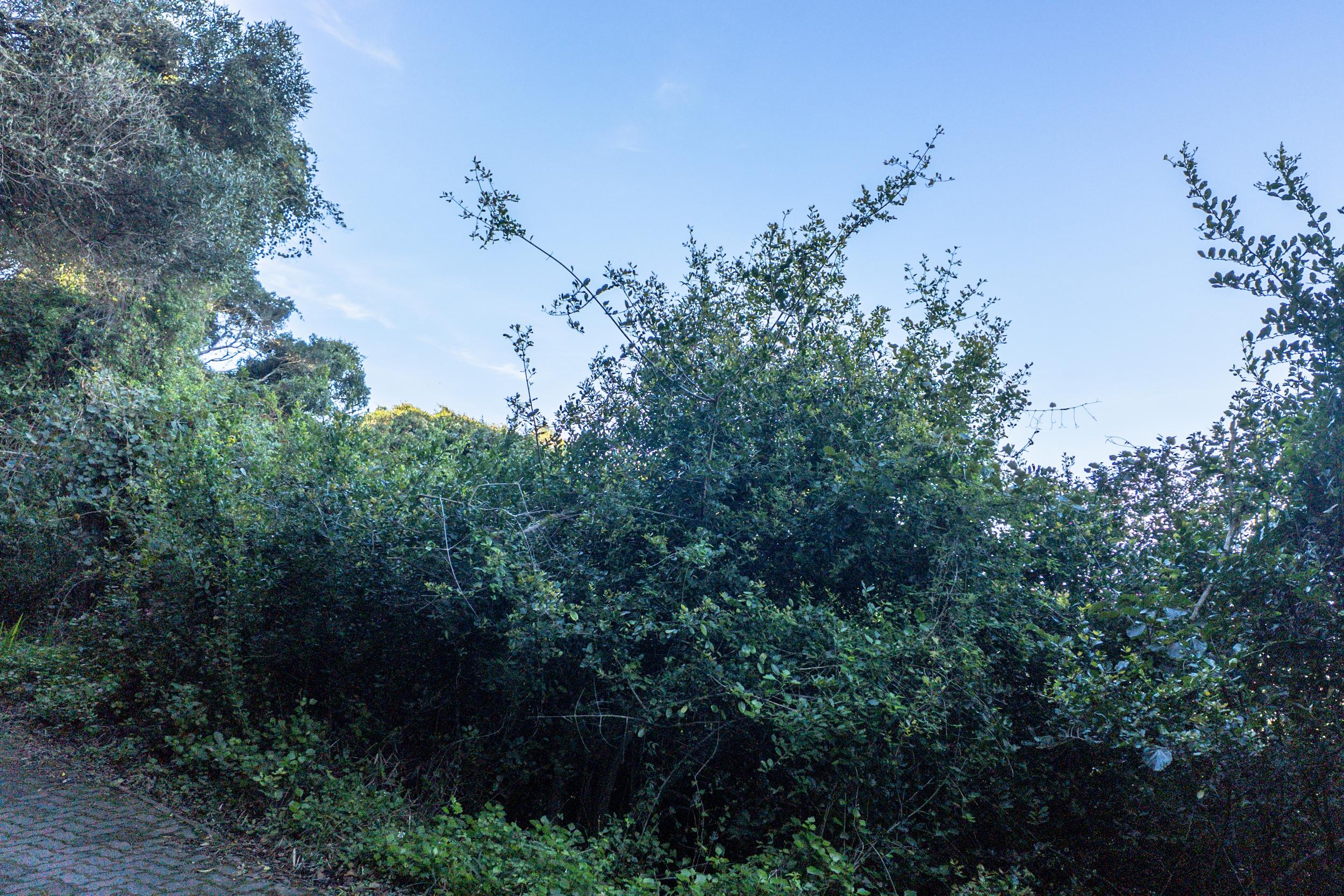 Image 5 of 6