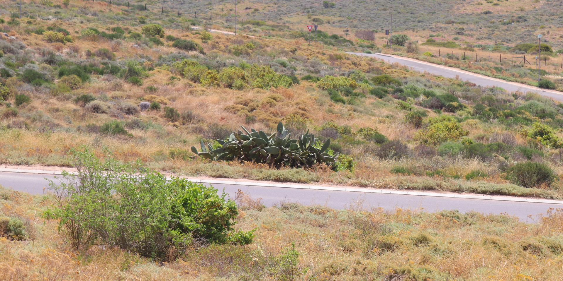 Image 4 of 6