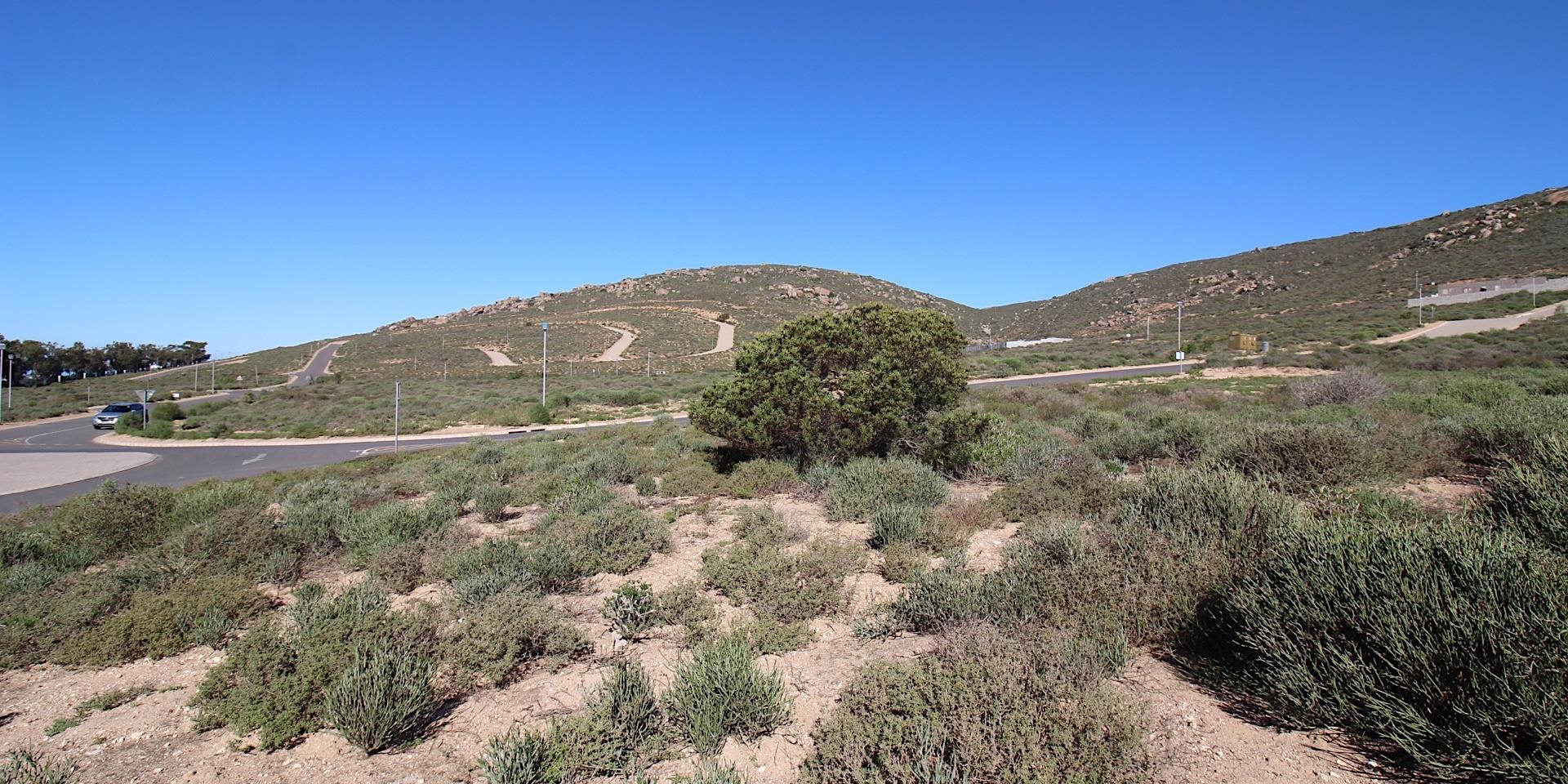 Image 5 of 6