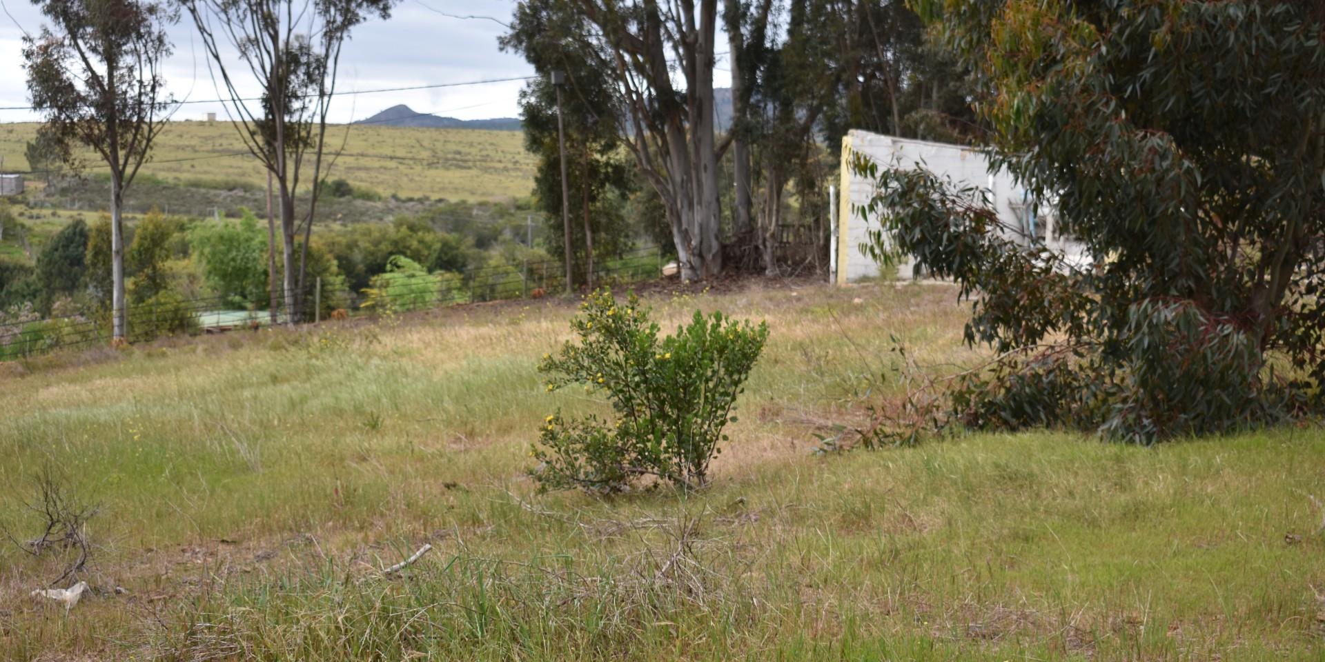 Image 4 of 6