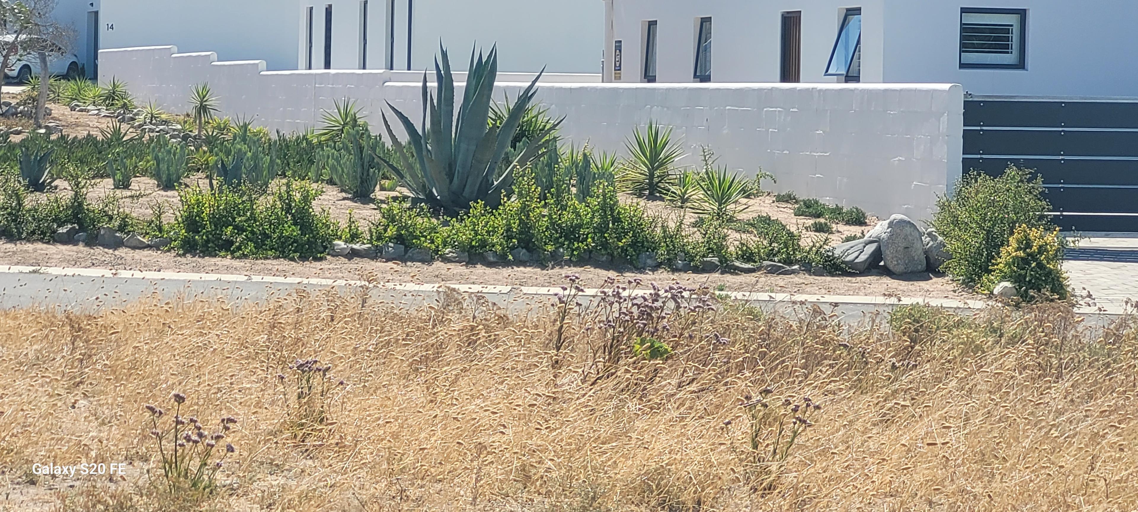 Image 3 of 6