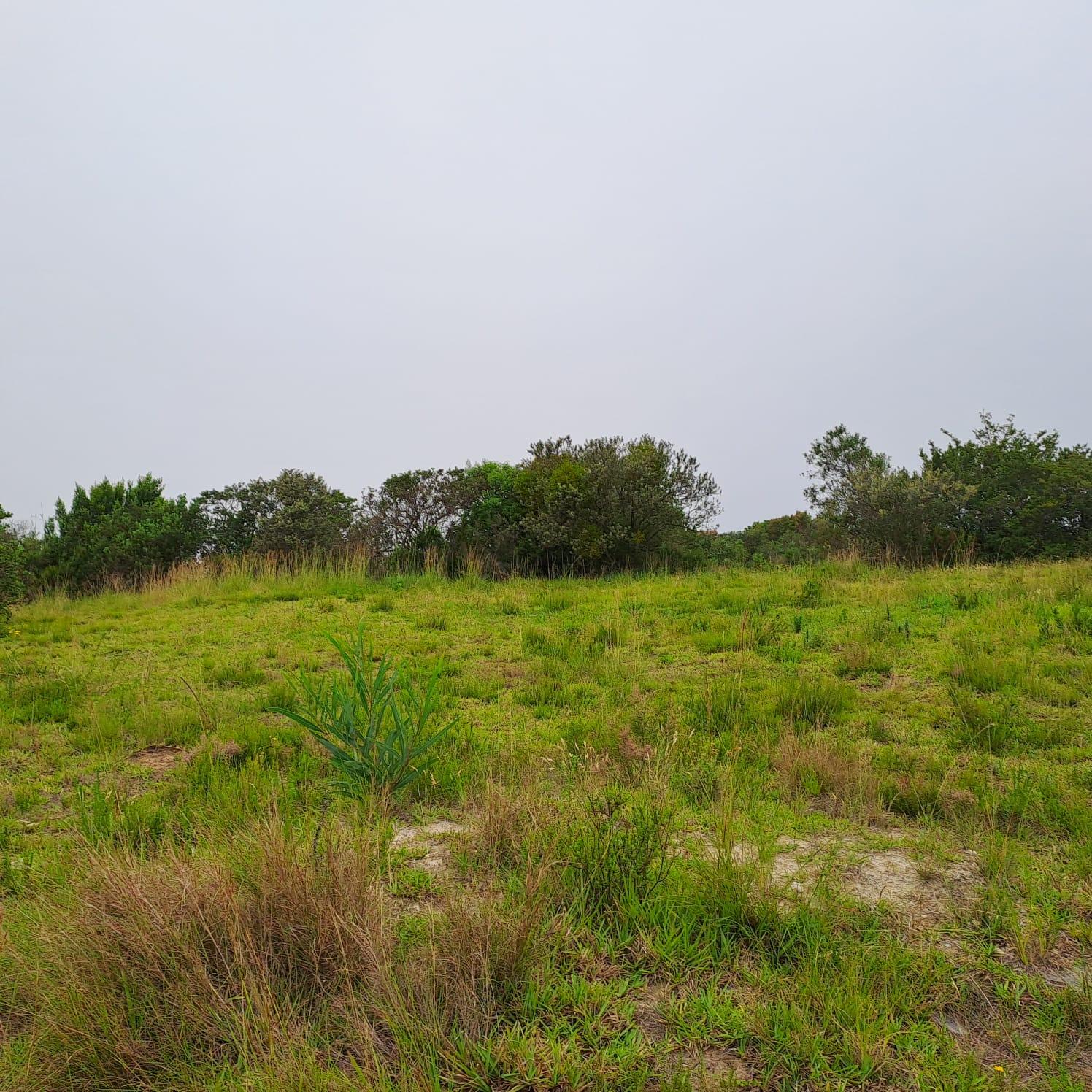 Image 2 of 6
