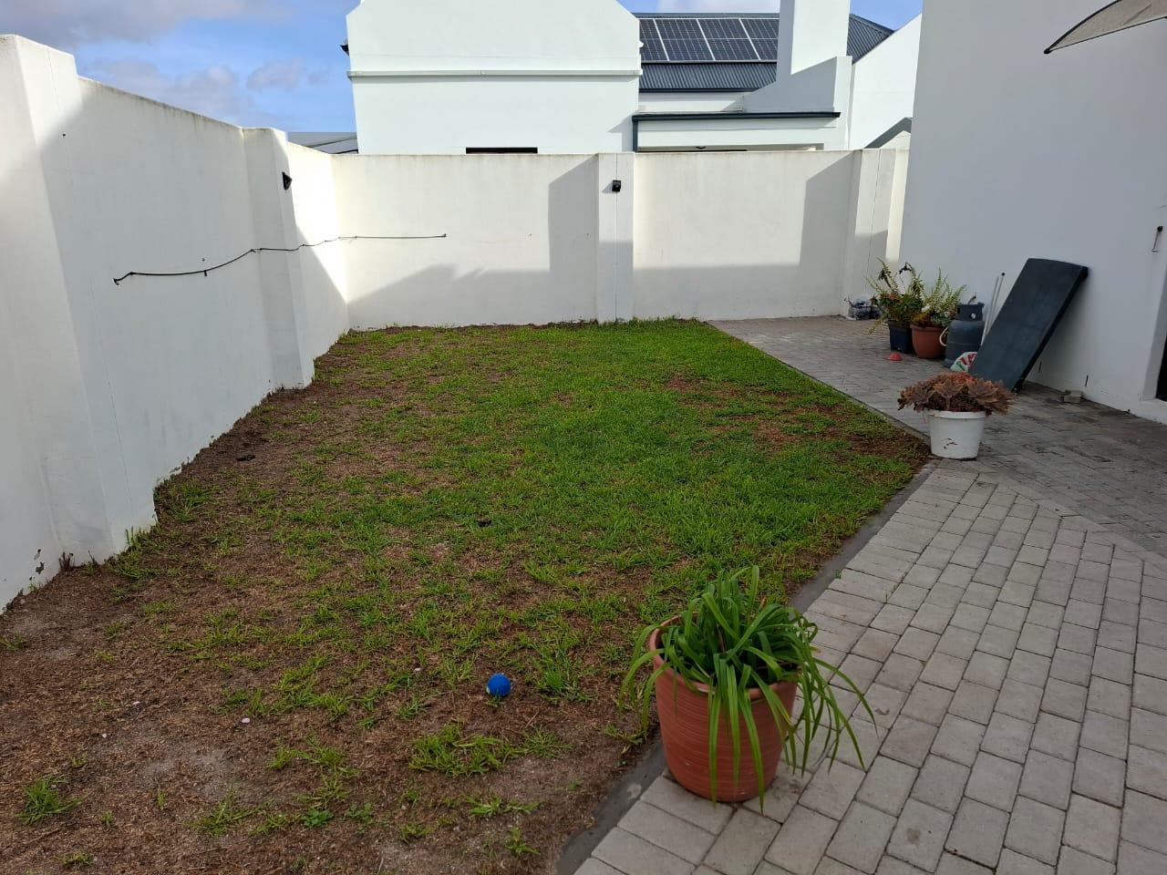 Image 20