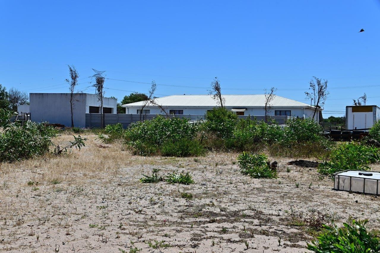 Image 10