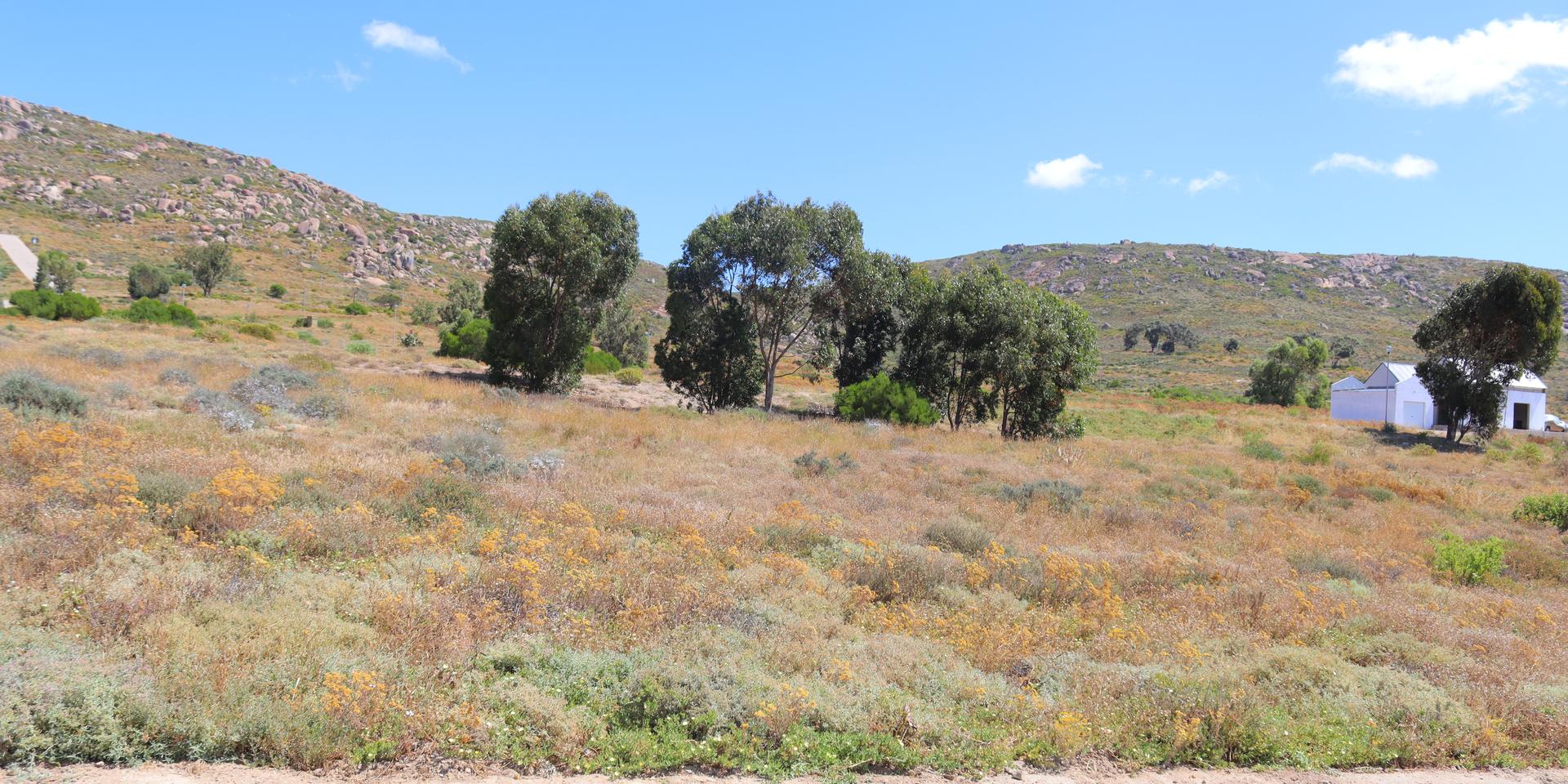 Image 5 of 6