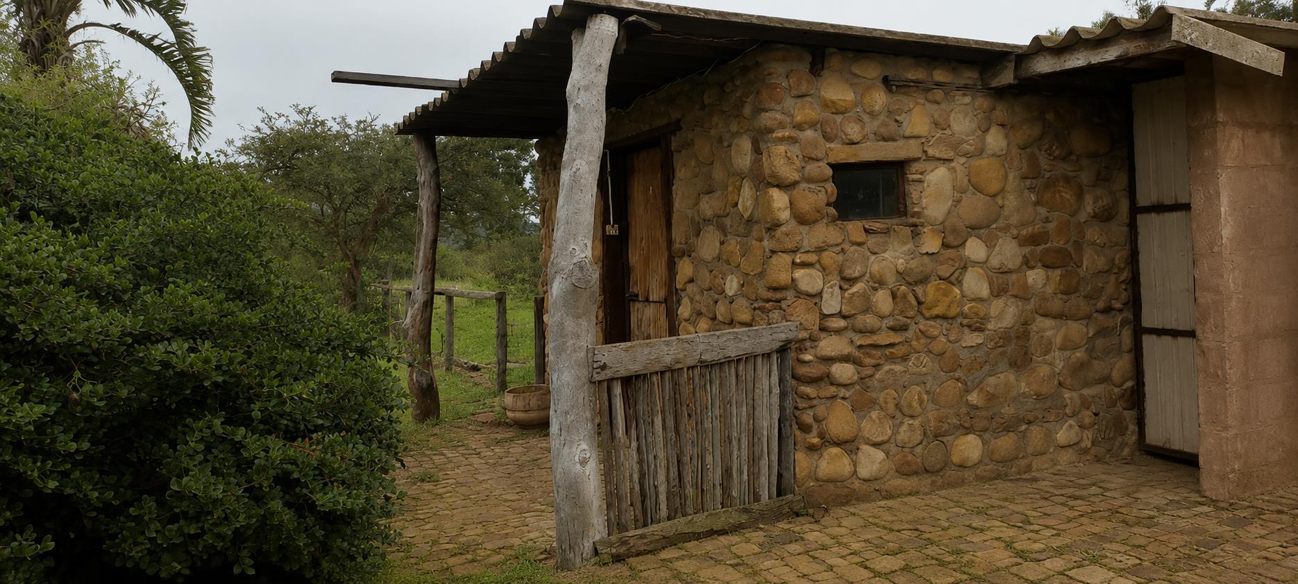 Image 47