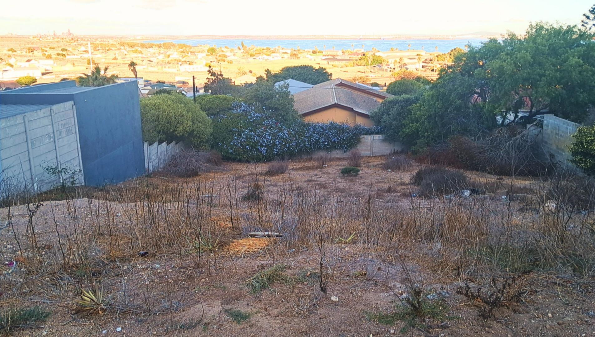 Image 11