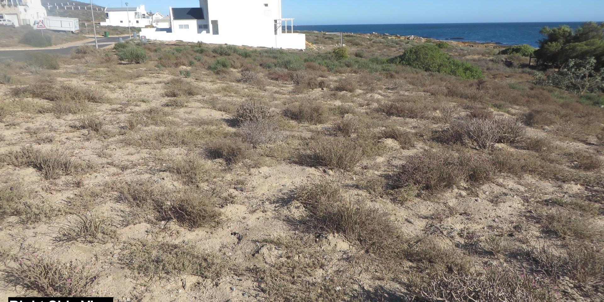 Image 4 of 6