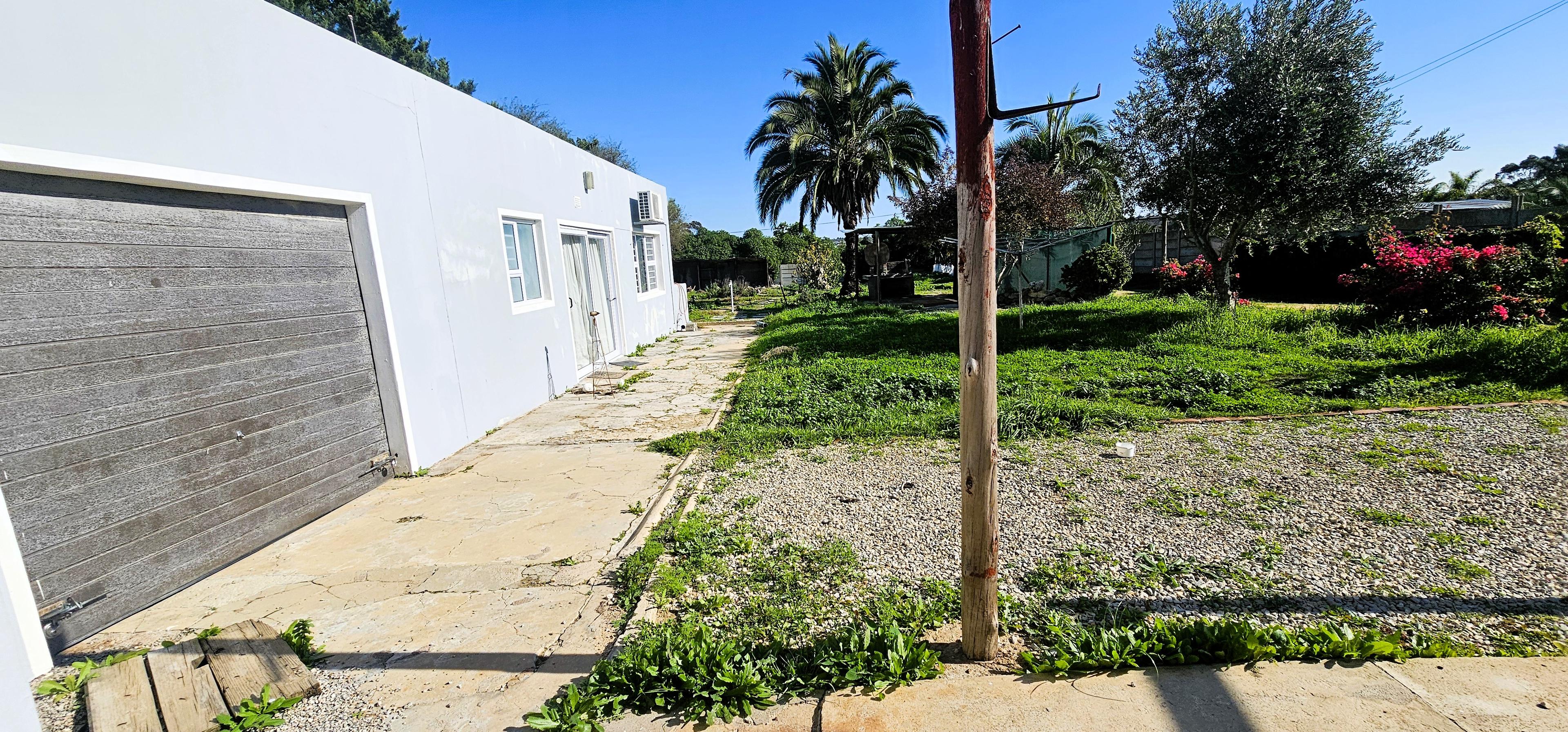 Image 14
