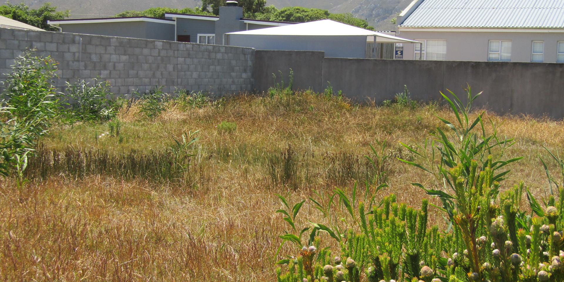 Image 3 of 6